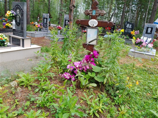 Хамедзянов Антон Владимирович