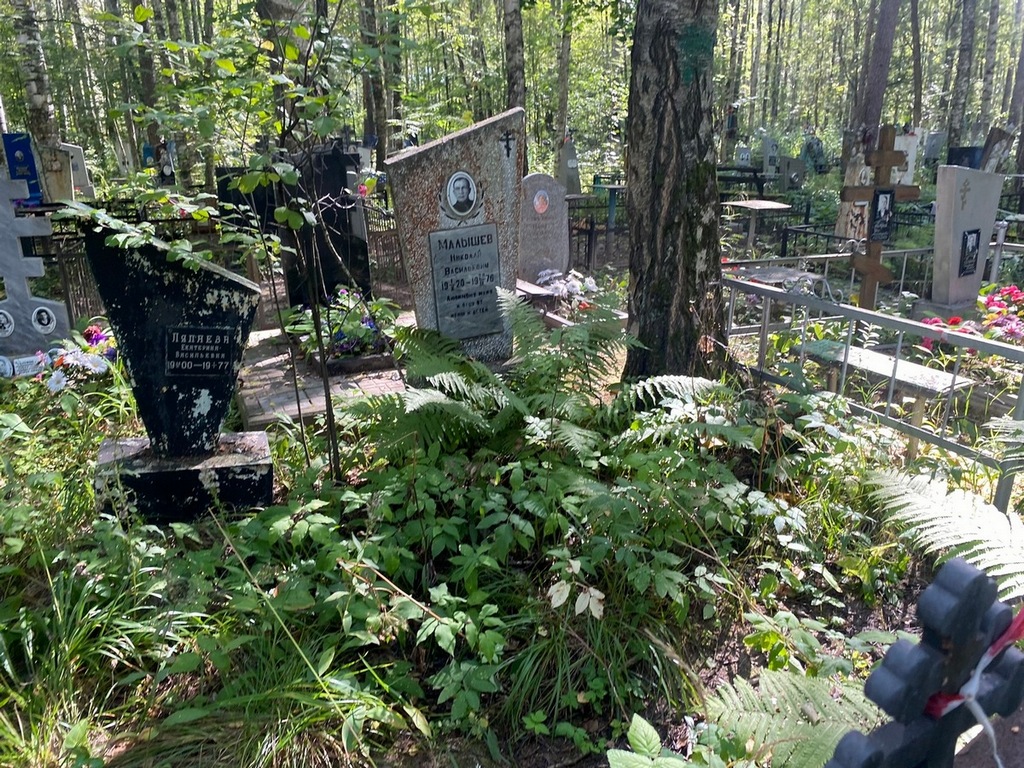Малышев Николай Васильевич