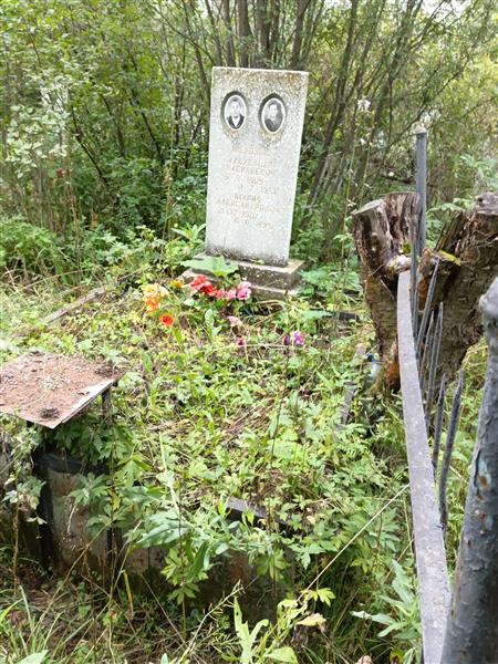 Меховых Александр Васильевич