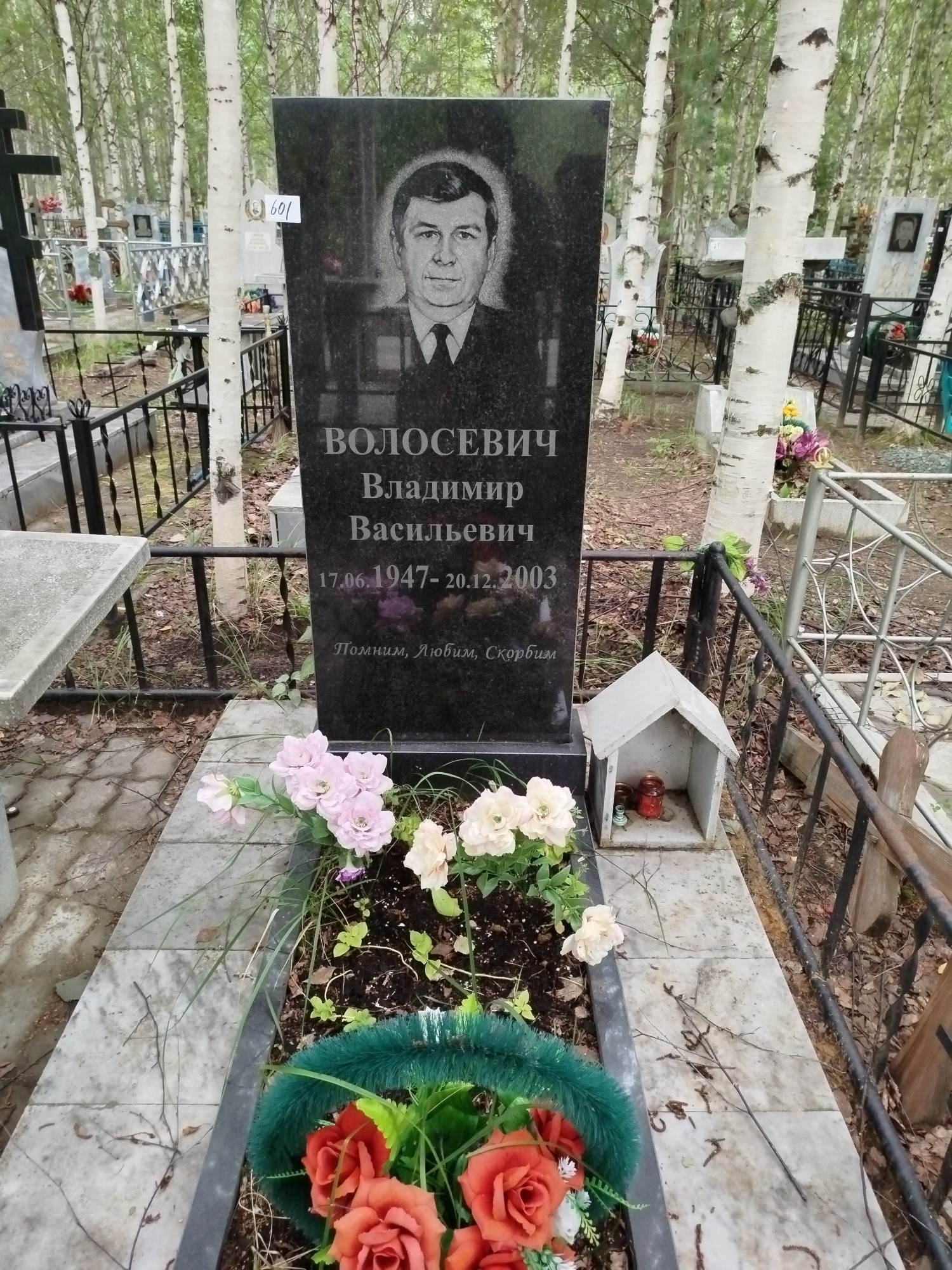 Волосевич Владимир Васильевич