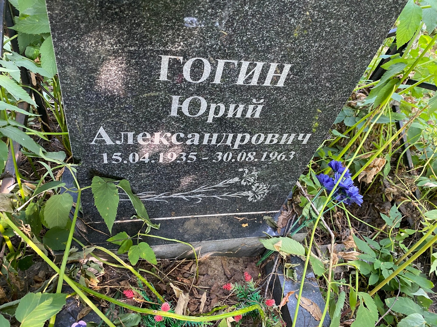 Гогин