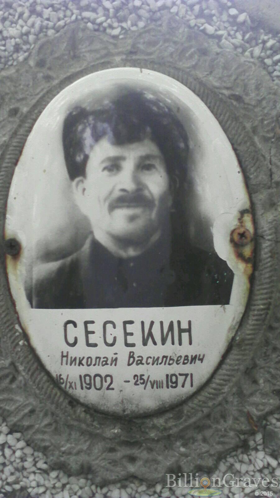 Сесекин Николай Васильевич