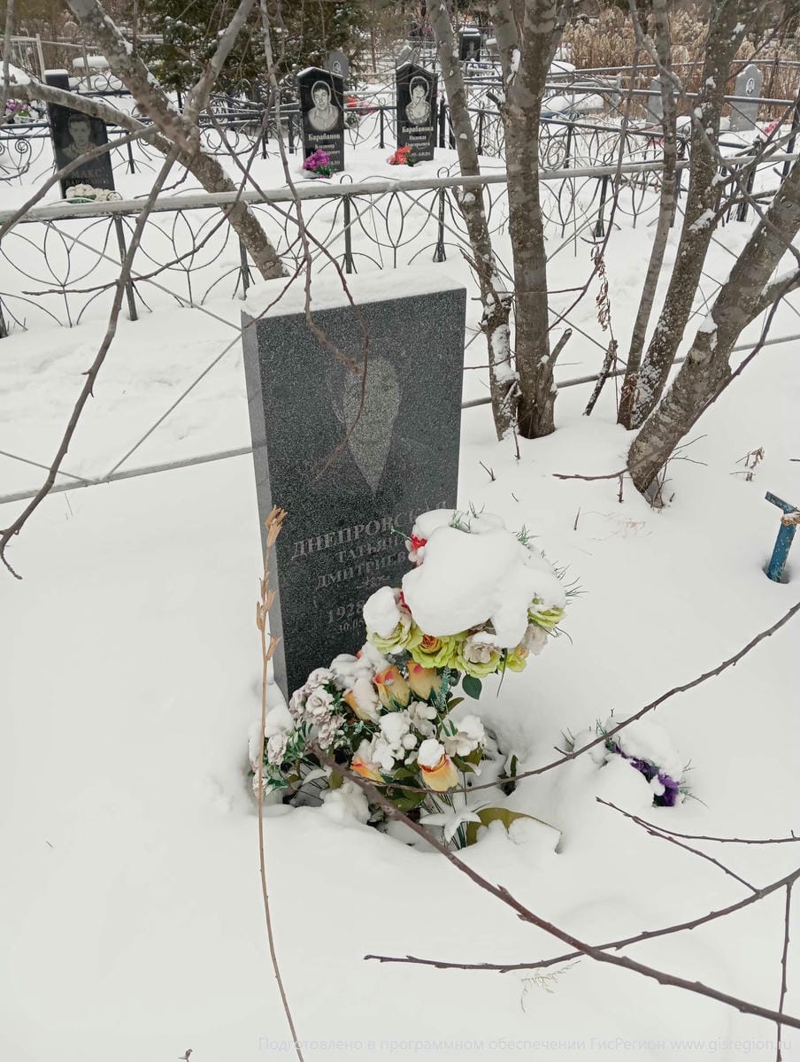 Днепровская Татьяна Дмитриевна
