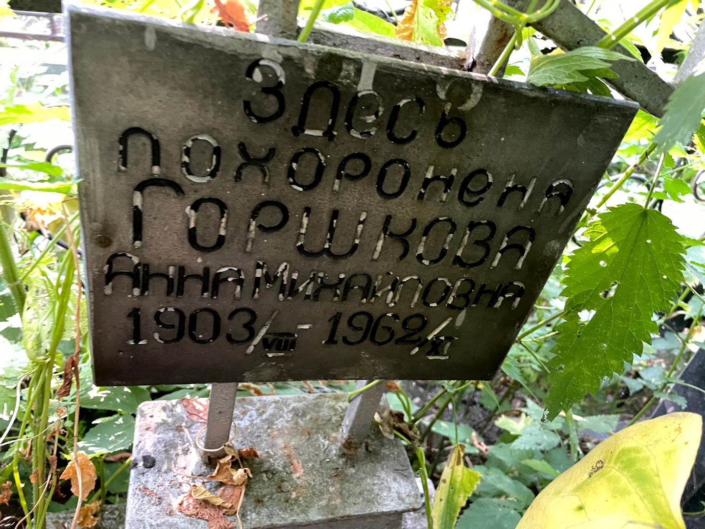 Горшкова