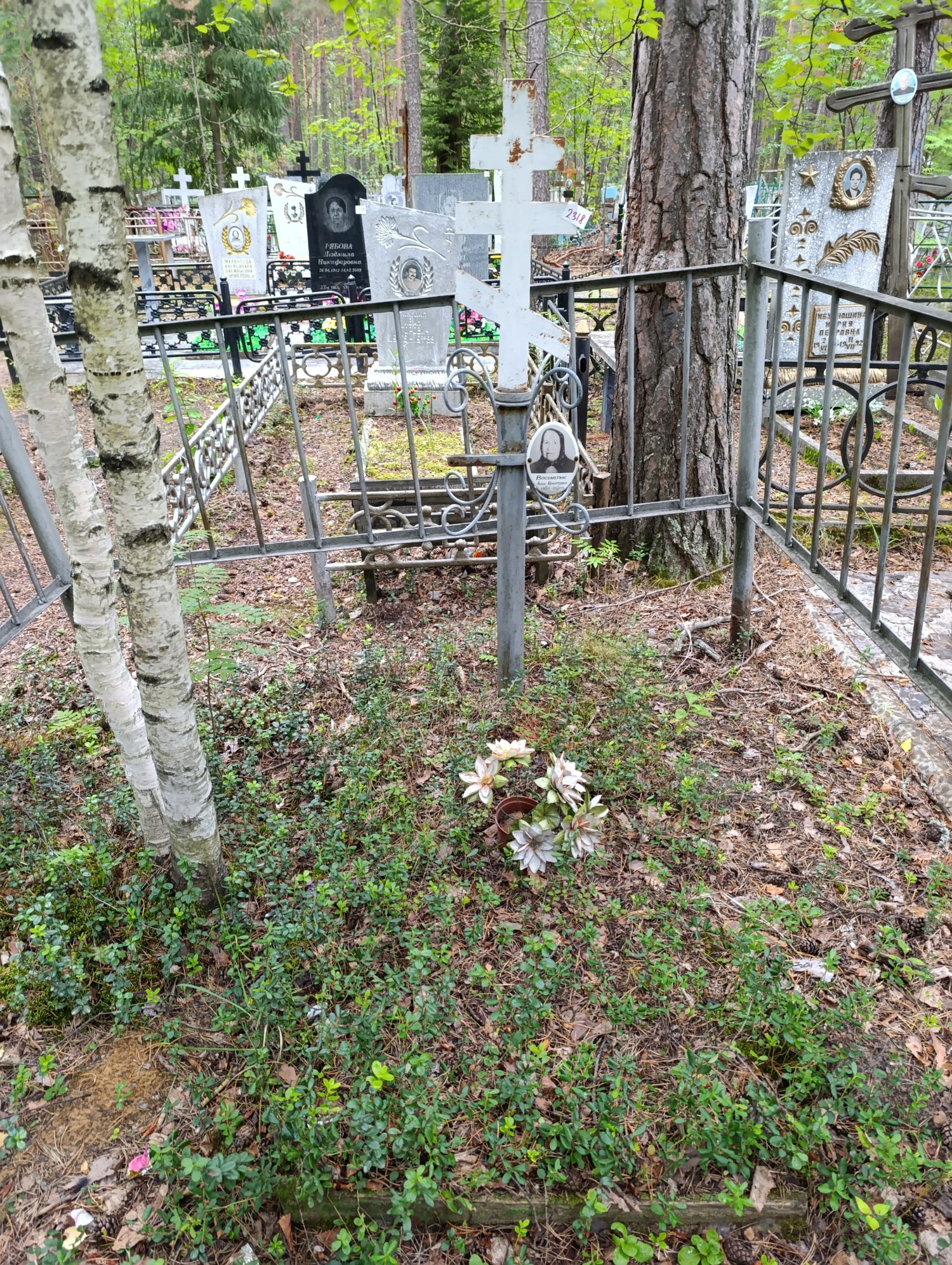 Восьмерик Анна Никитовна