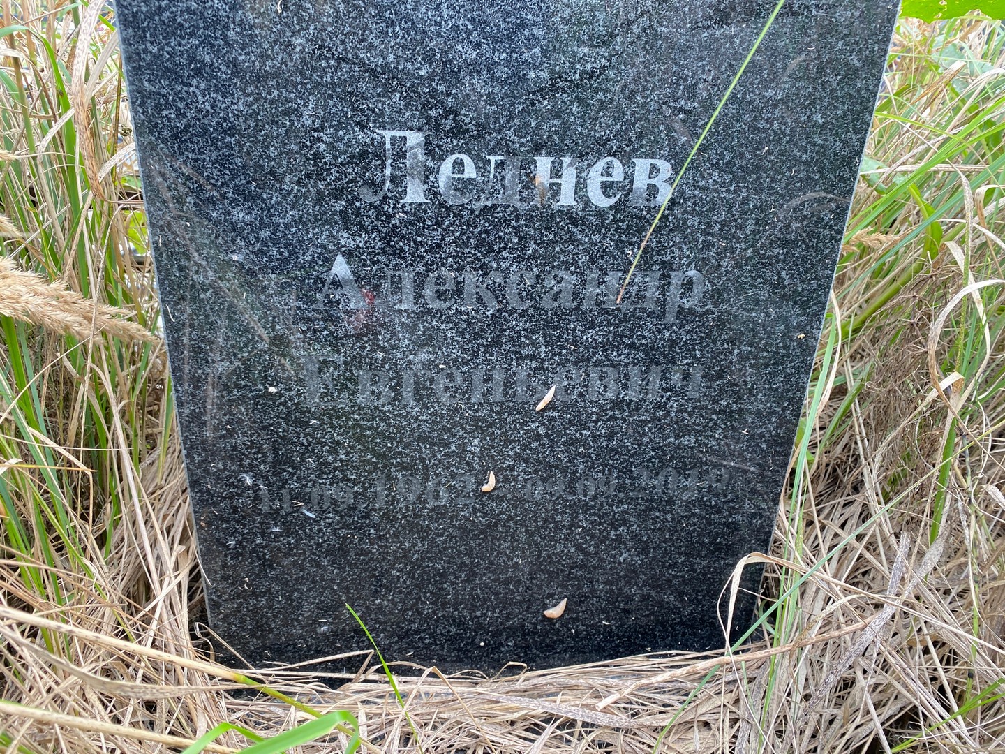 Леднев