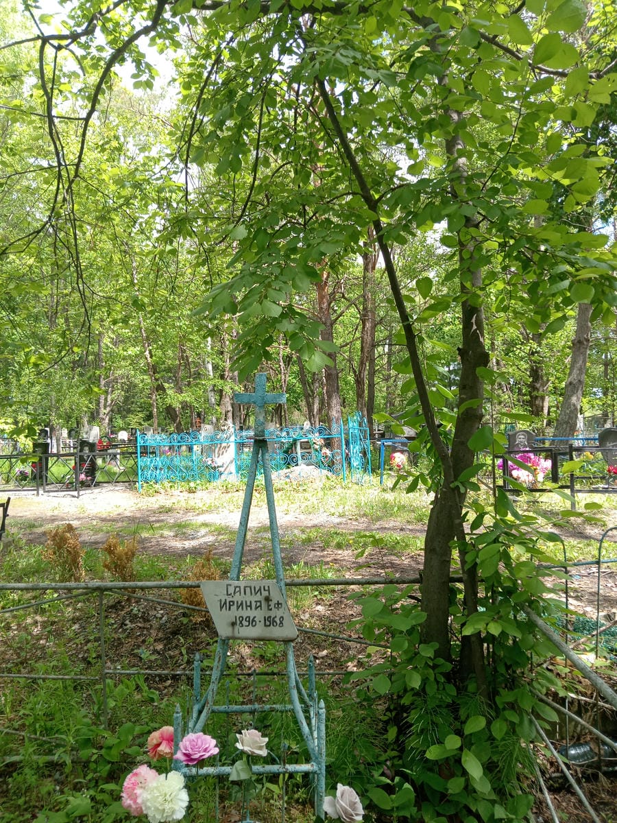Сапич Ирина Е