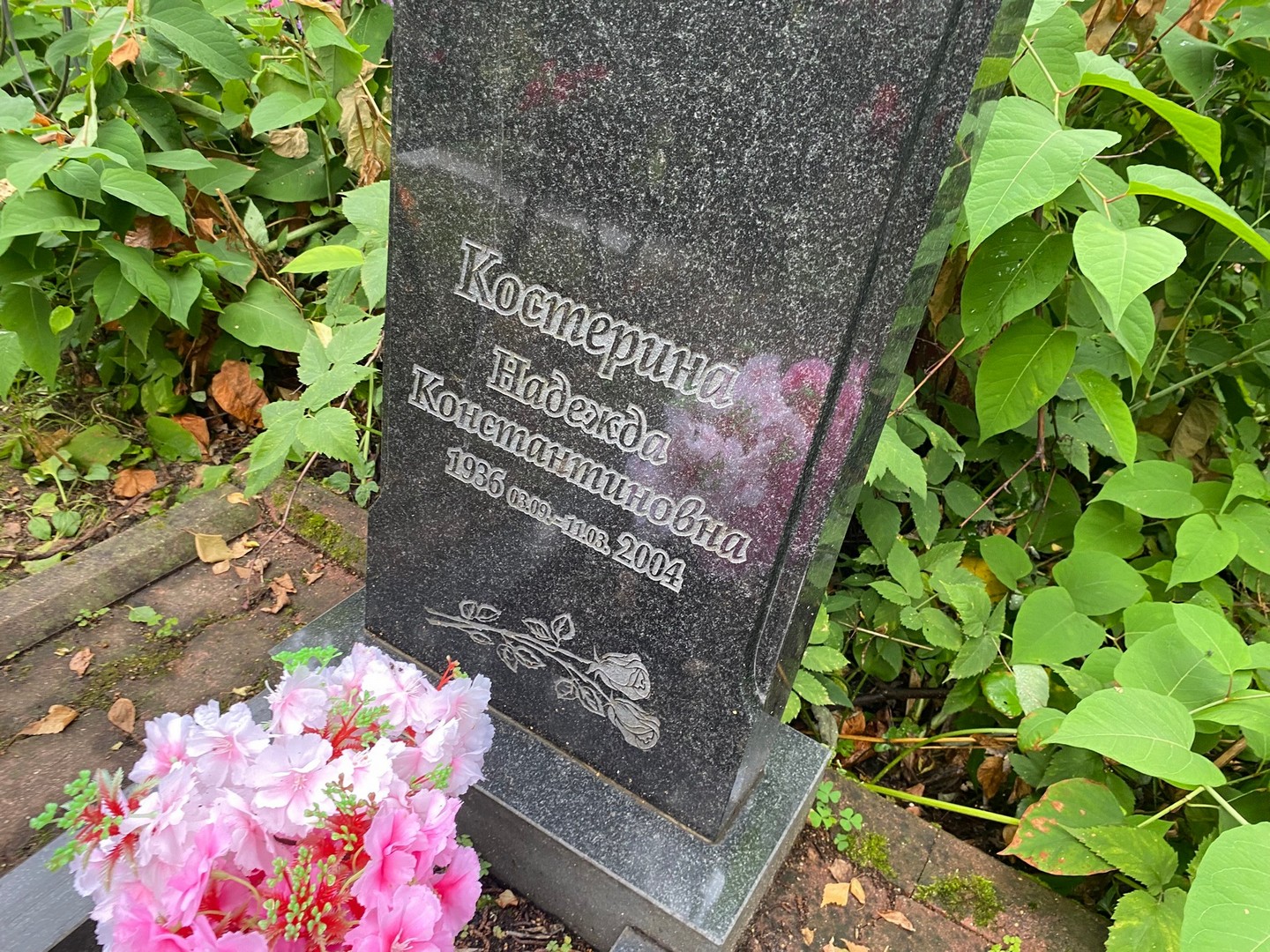 Костерина