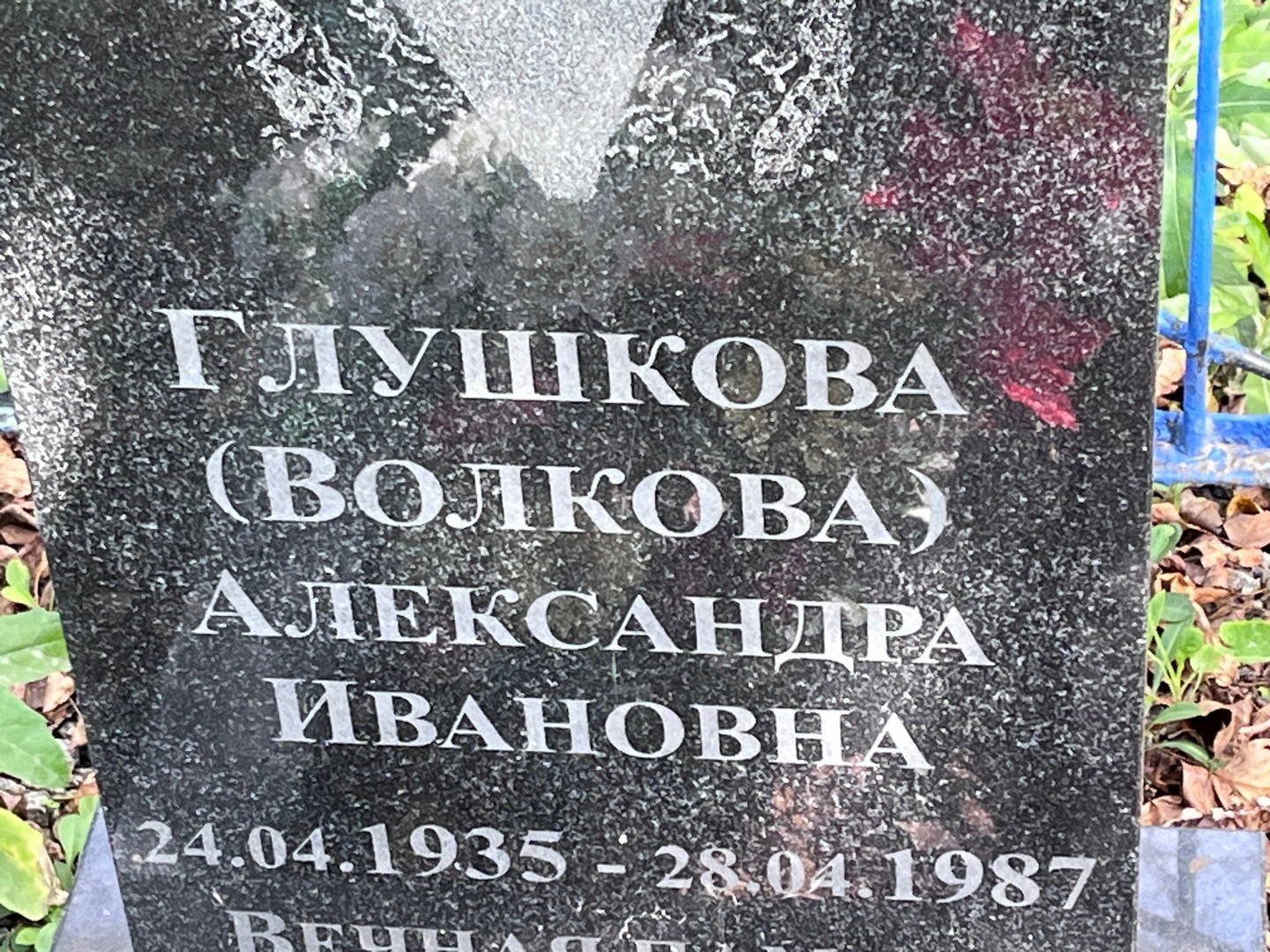 (Волкова) Глушкова Александра