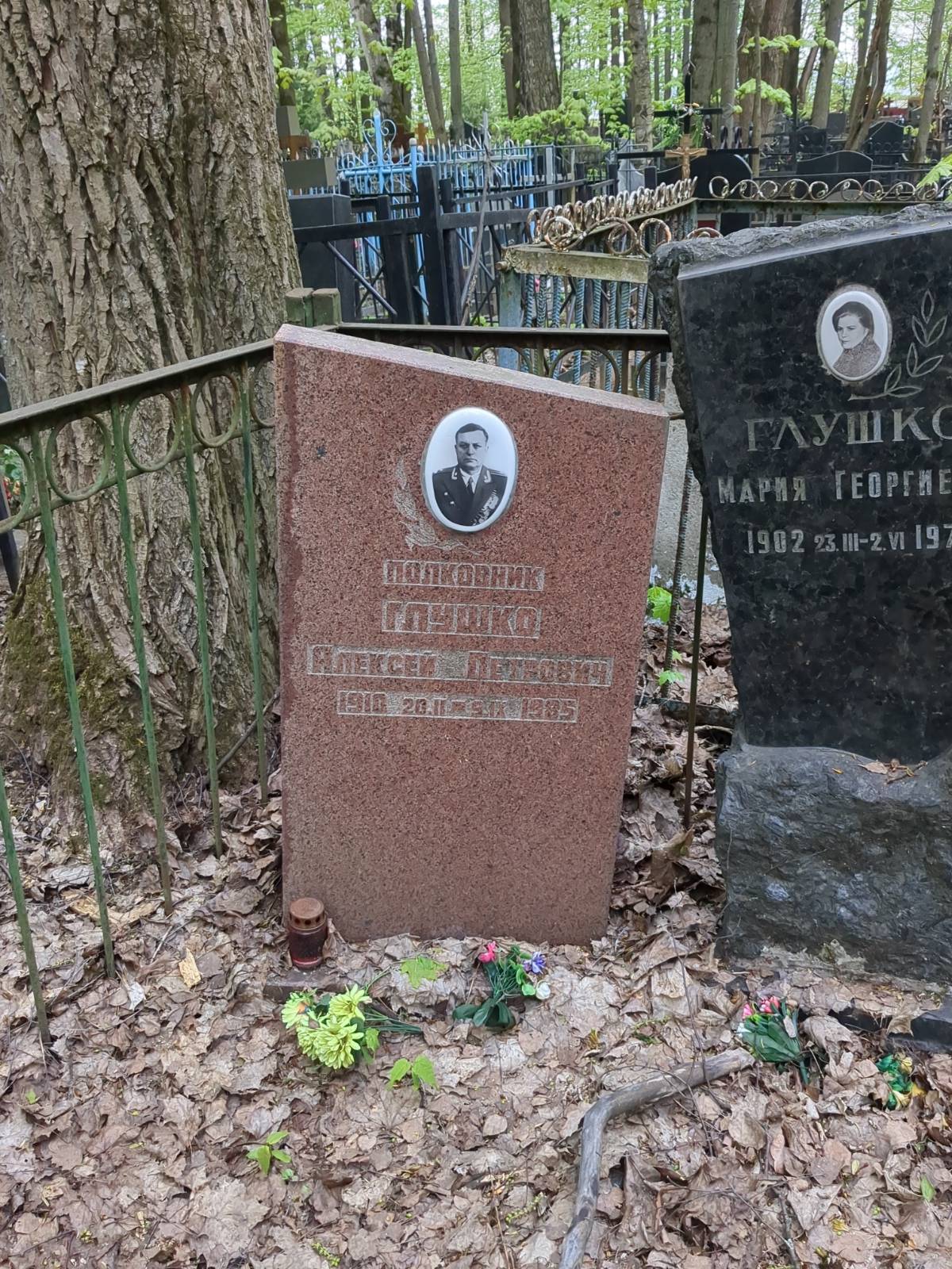 Глушко Алексей Петрович