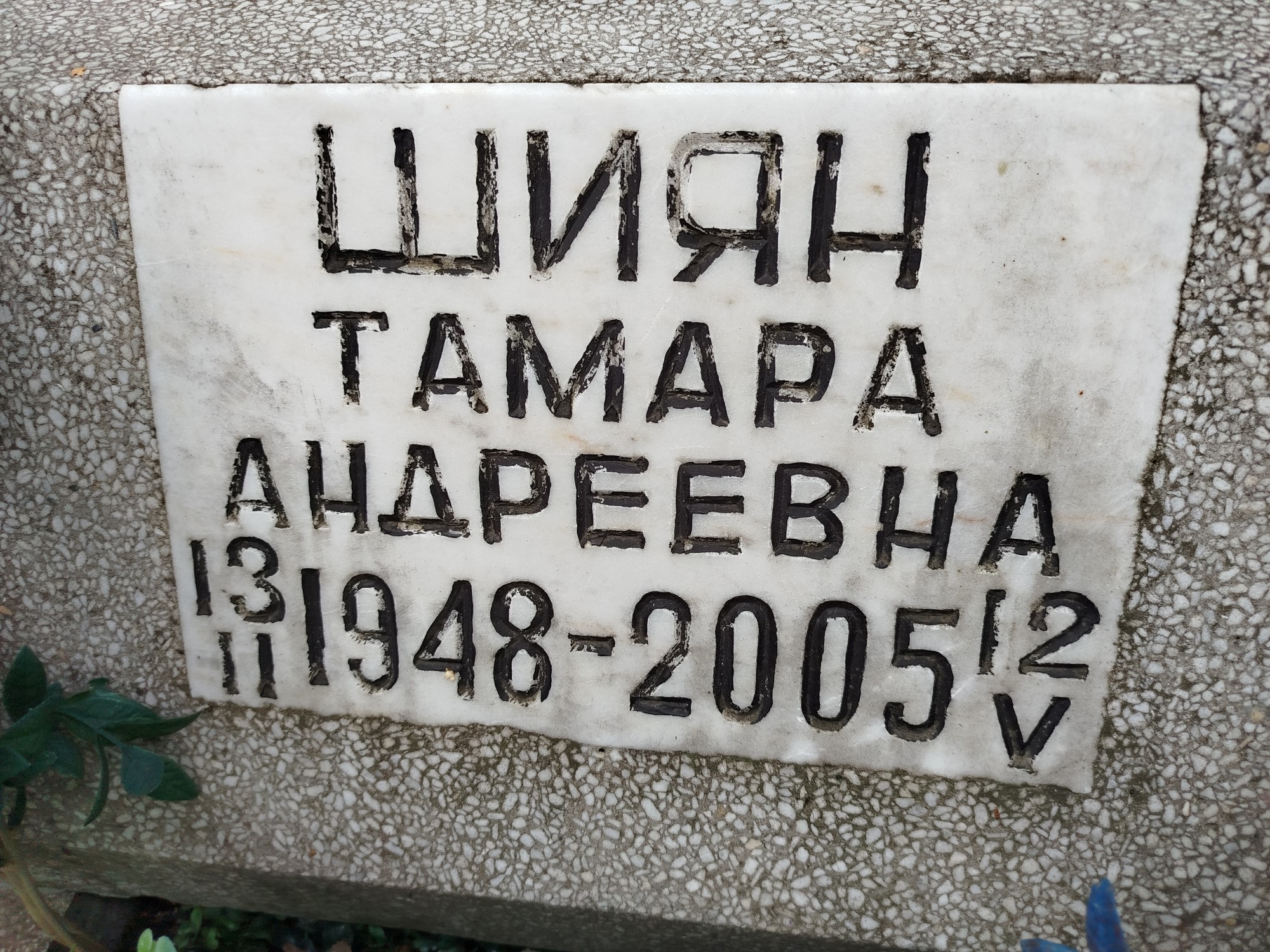 Шиян Тамара Андреевна