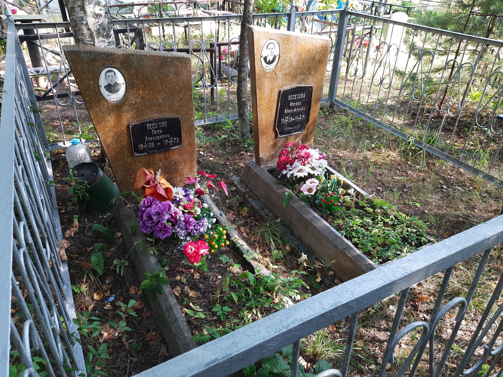 Веселов Петр Алексеевич