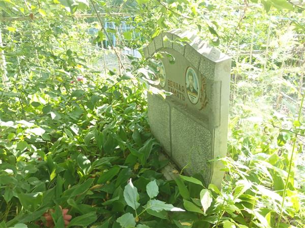 Чувиков Сергей Анатольевич