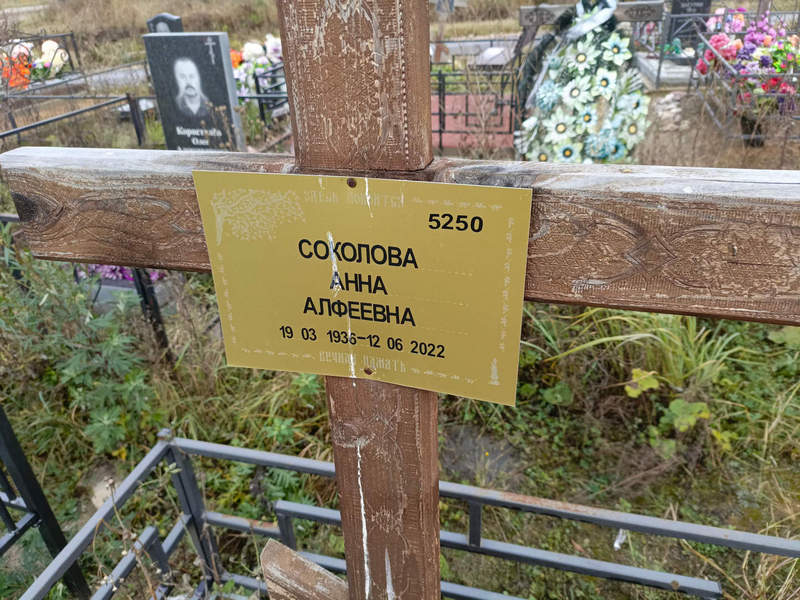 Соколова