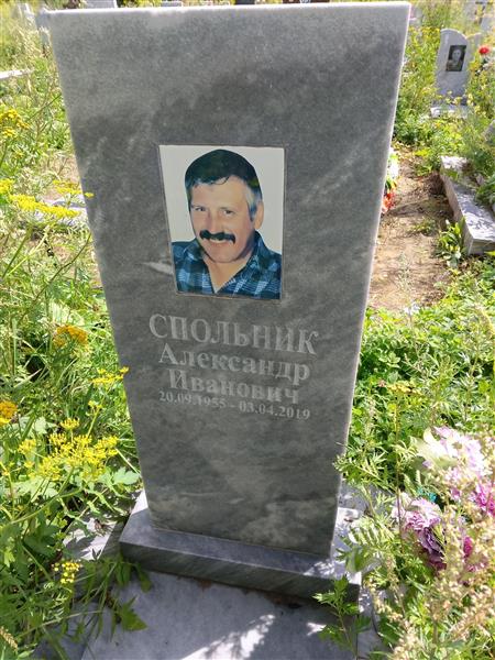 Спольник Александр Иванович