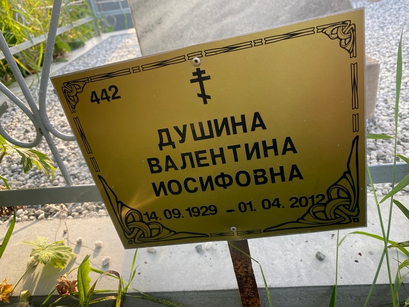 Душина