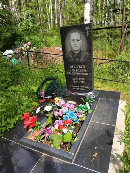 Малых Анатолий Владимирович