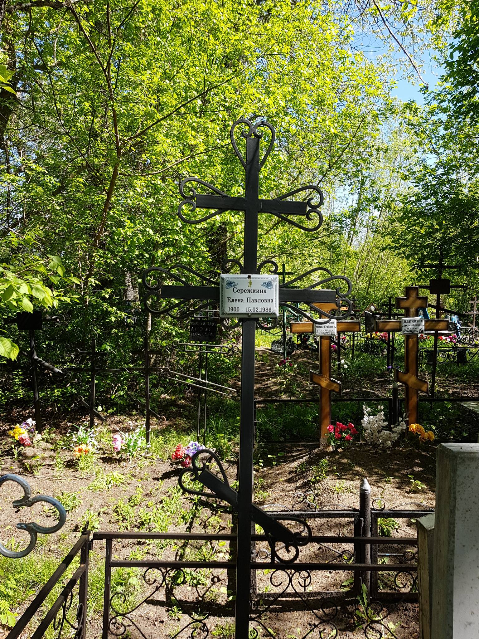 Сережкина Елена Павловна