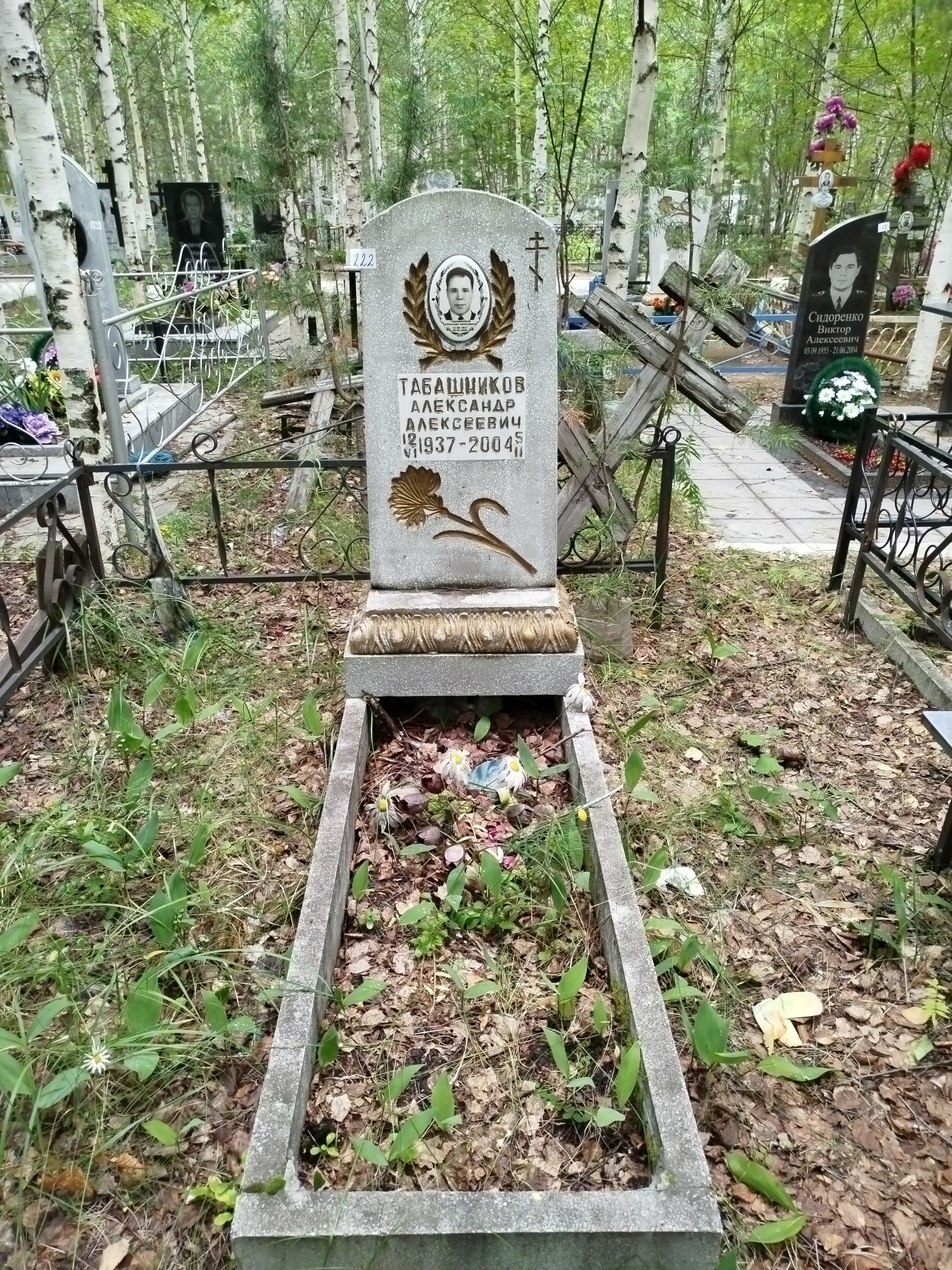 Табашников Александр Алексеевич