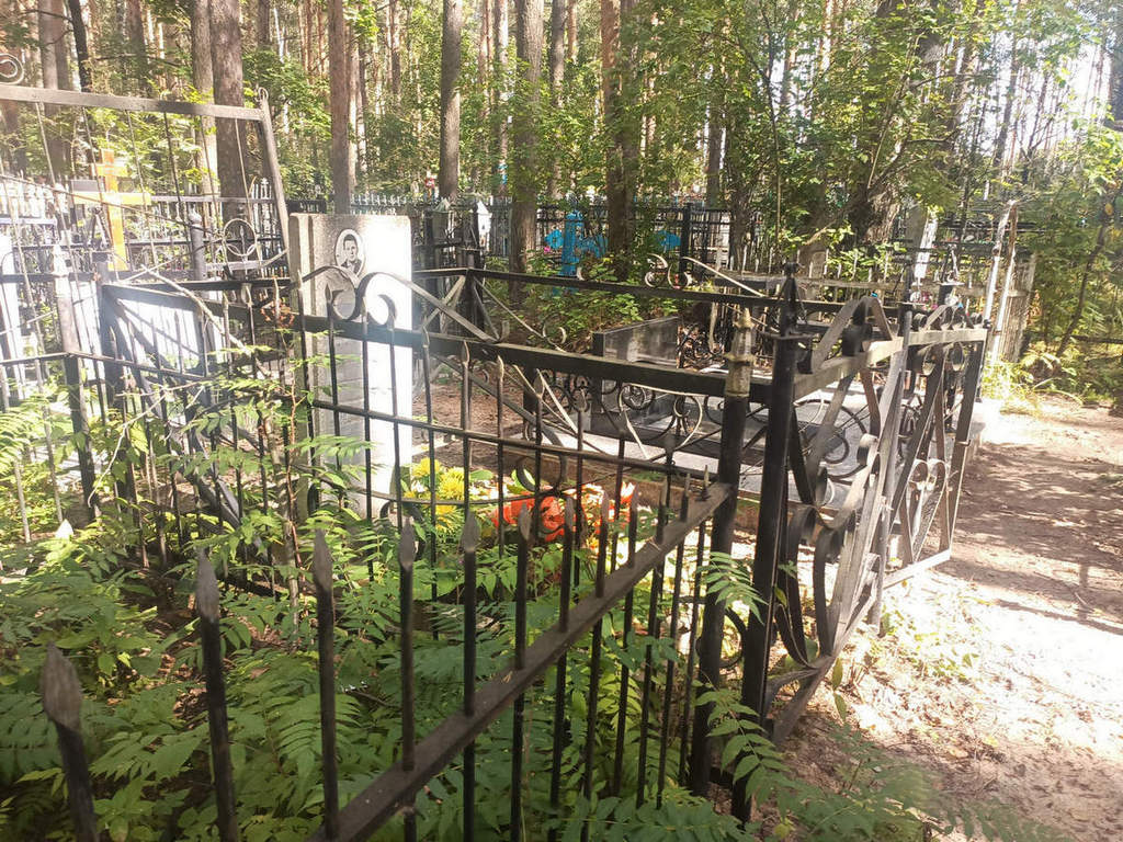Солдатенков Николай Николаевич