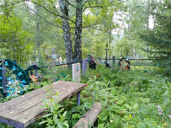Вишневский Александр Павлович