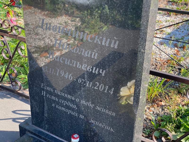 Девичинский