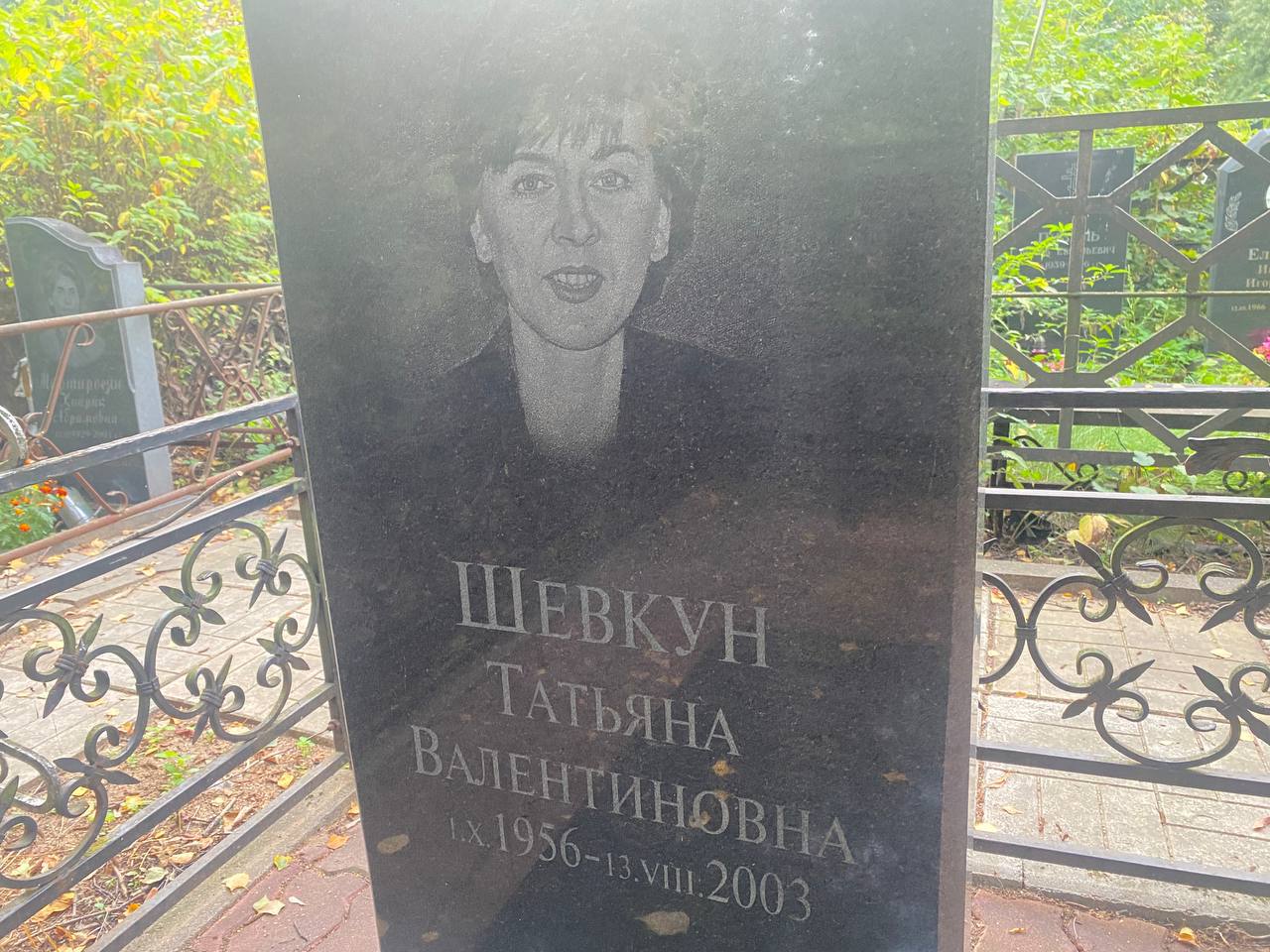 Шевкун