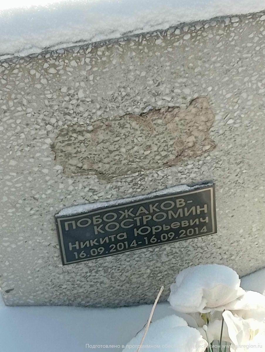ПобожаковКостромин Никита Юрьевич