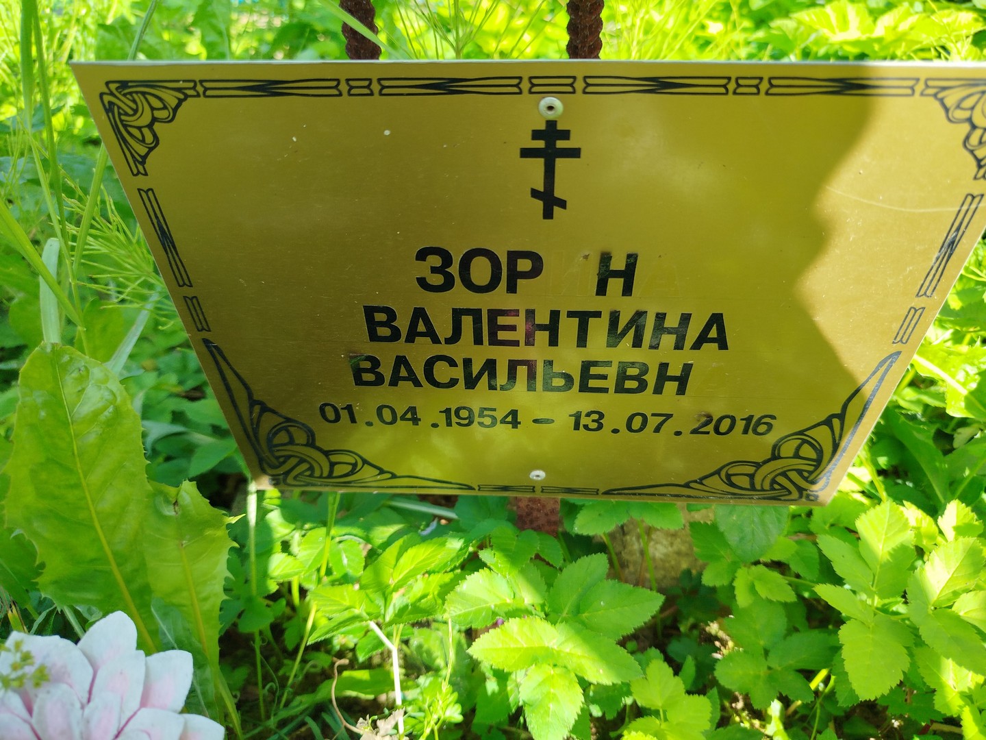 Зорина