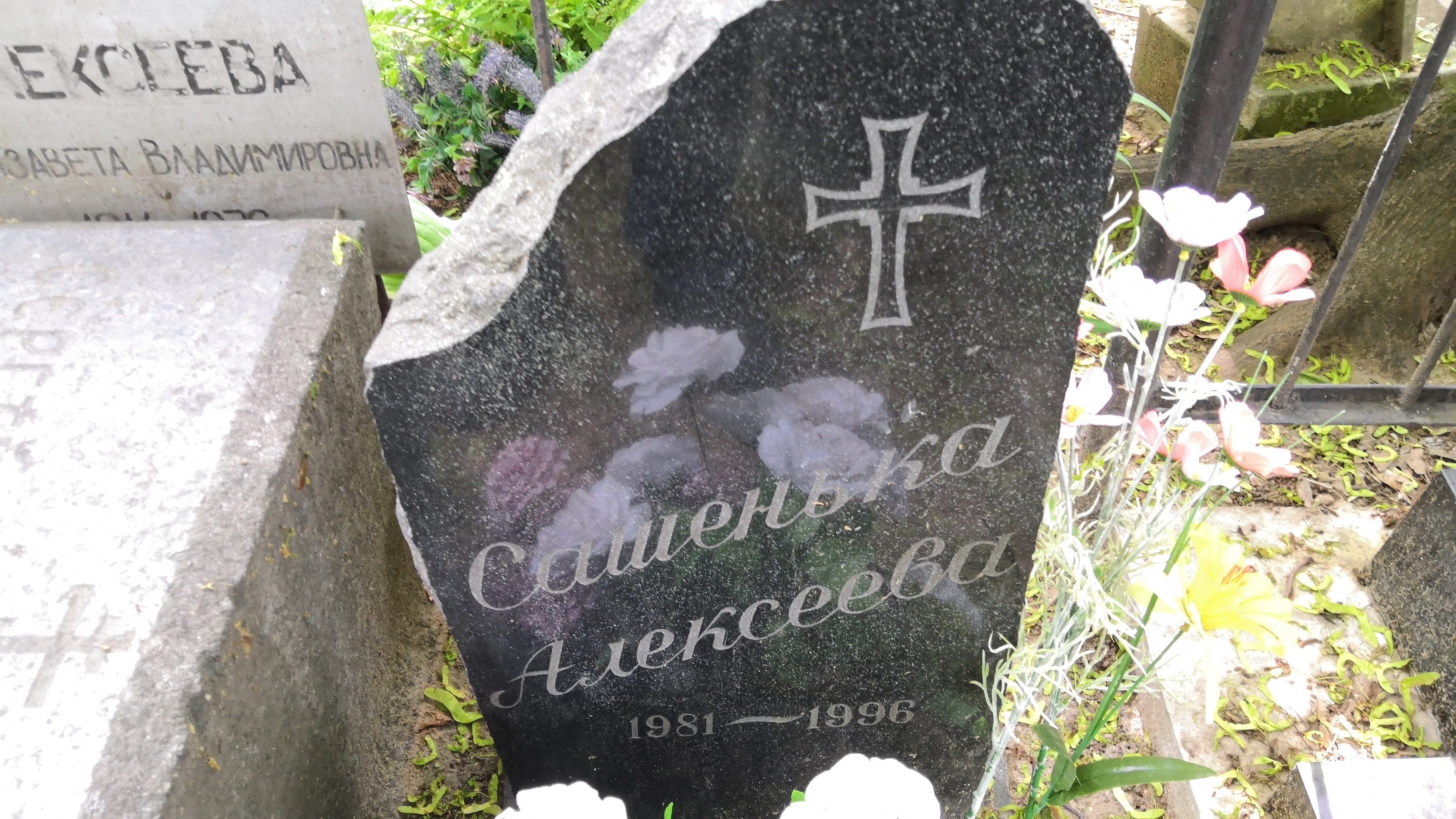 Алексеев А. Д.