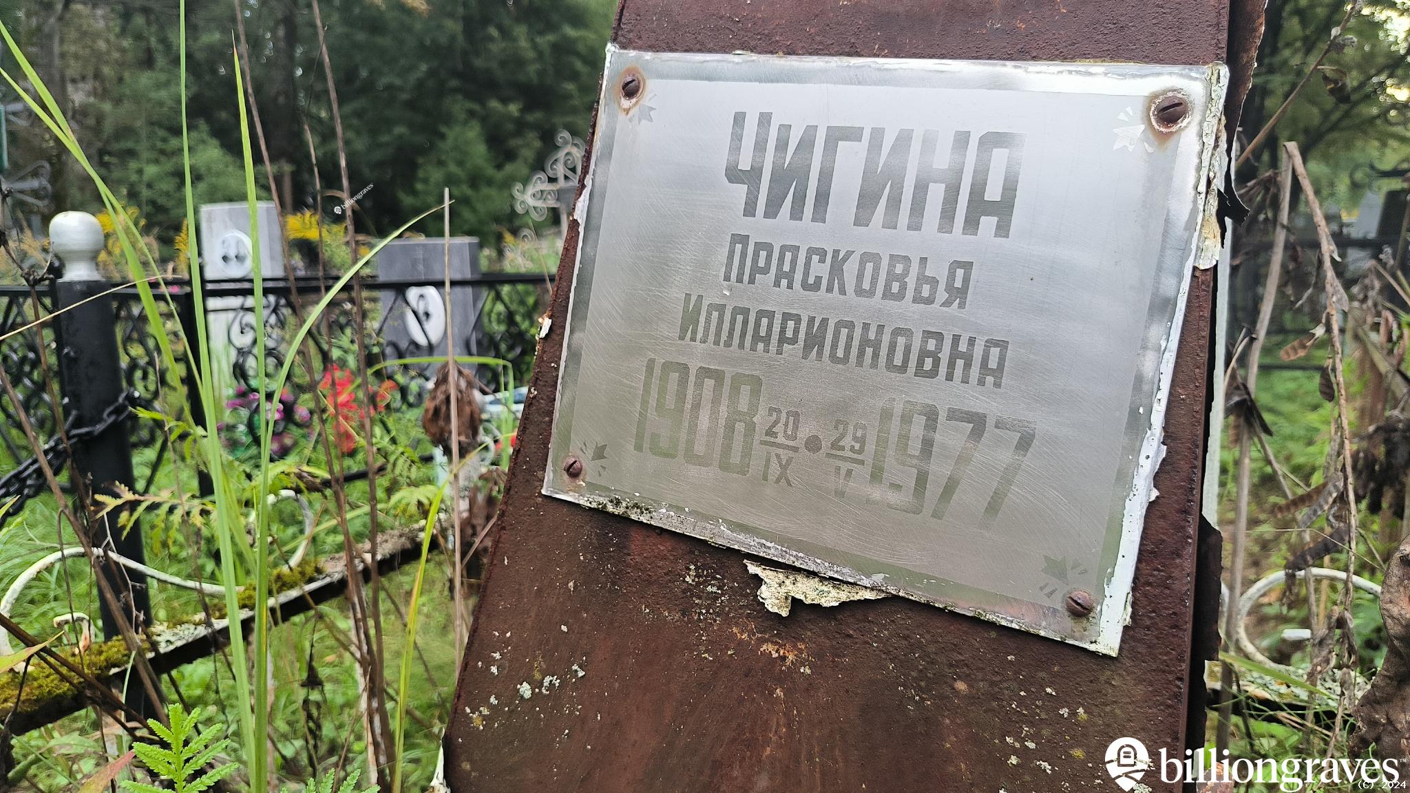 Чигина Прасковья Илларионовна