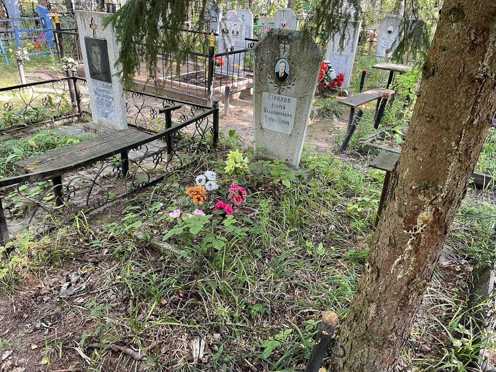Стрижов Андрей Владимирович