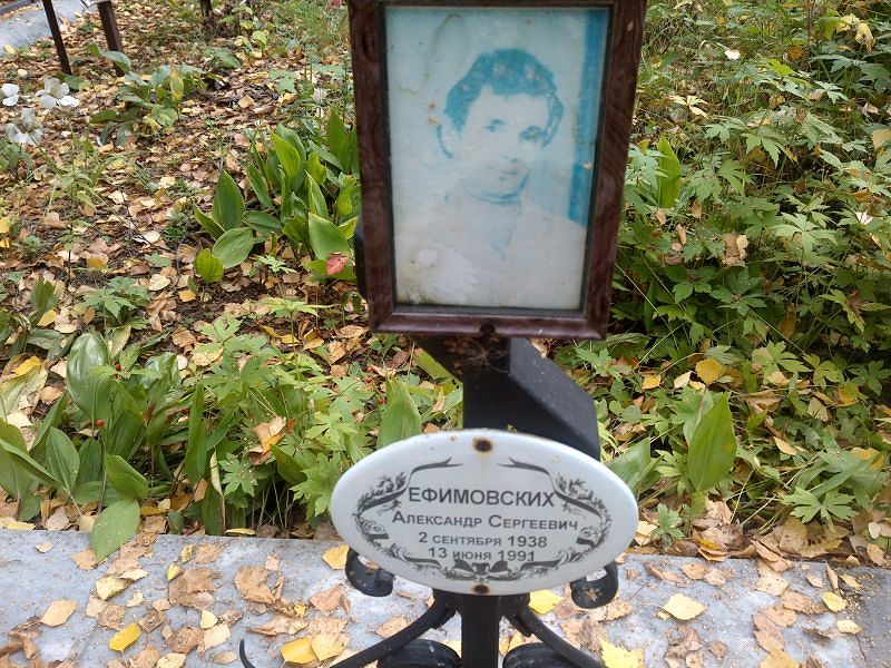 Ефимовских