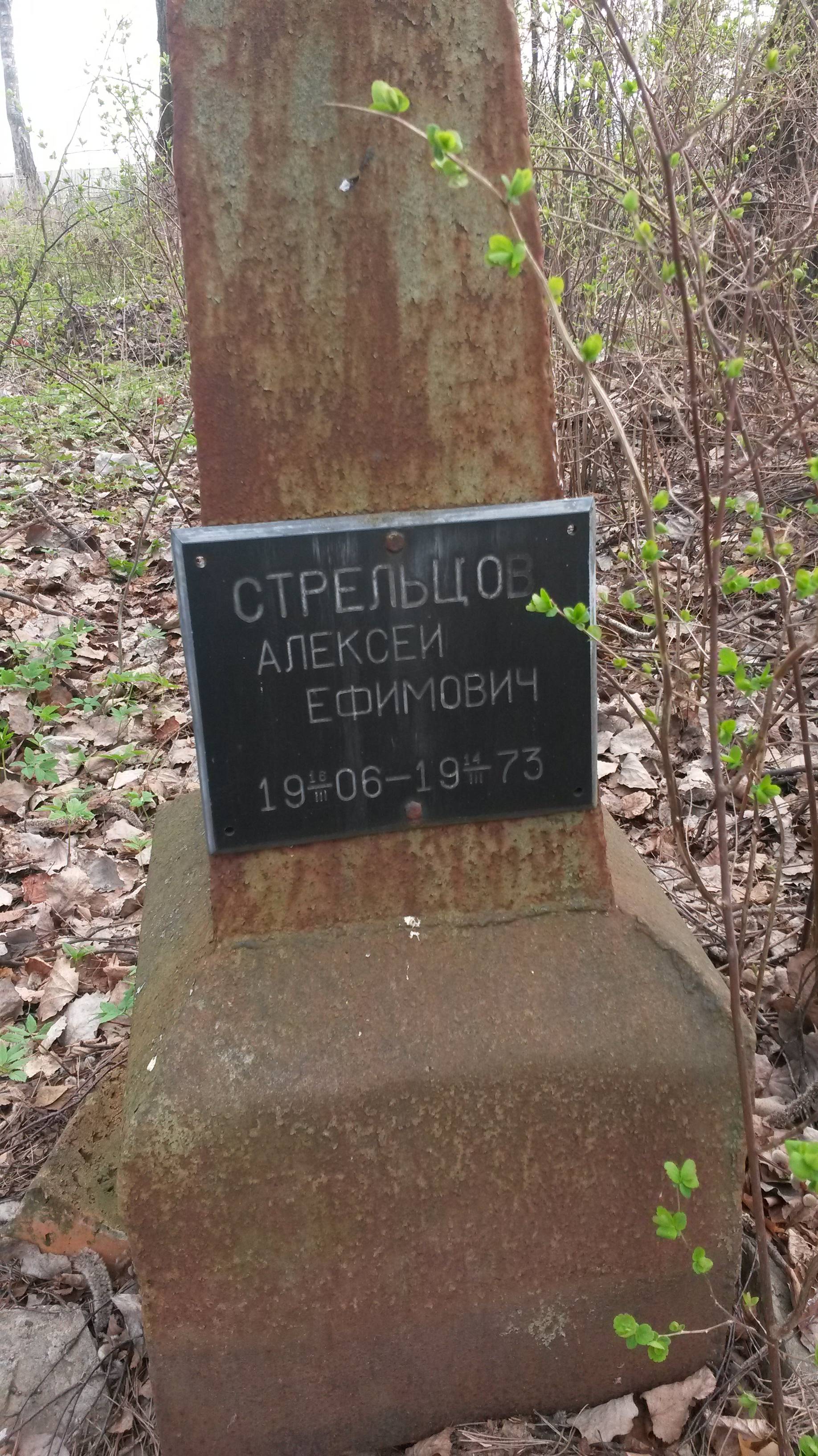 Стрельцов Алексей Ефимович