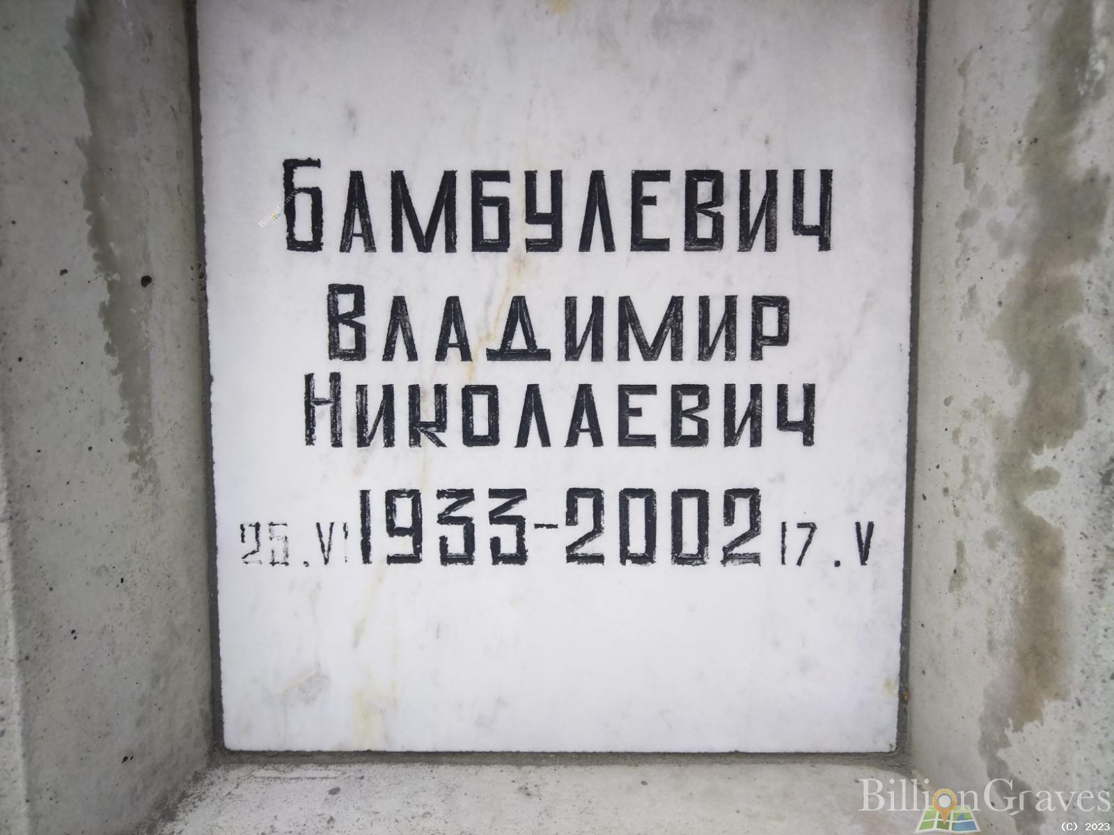 Бамбулевич Владимир Николаевич