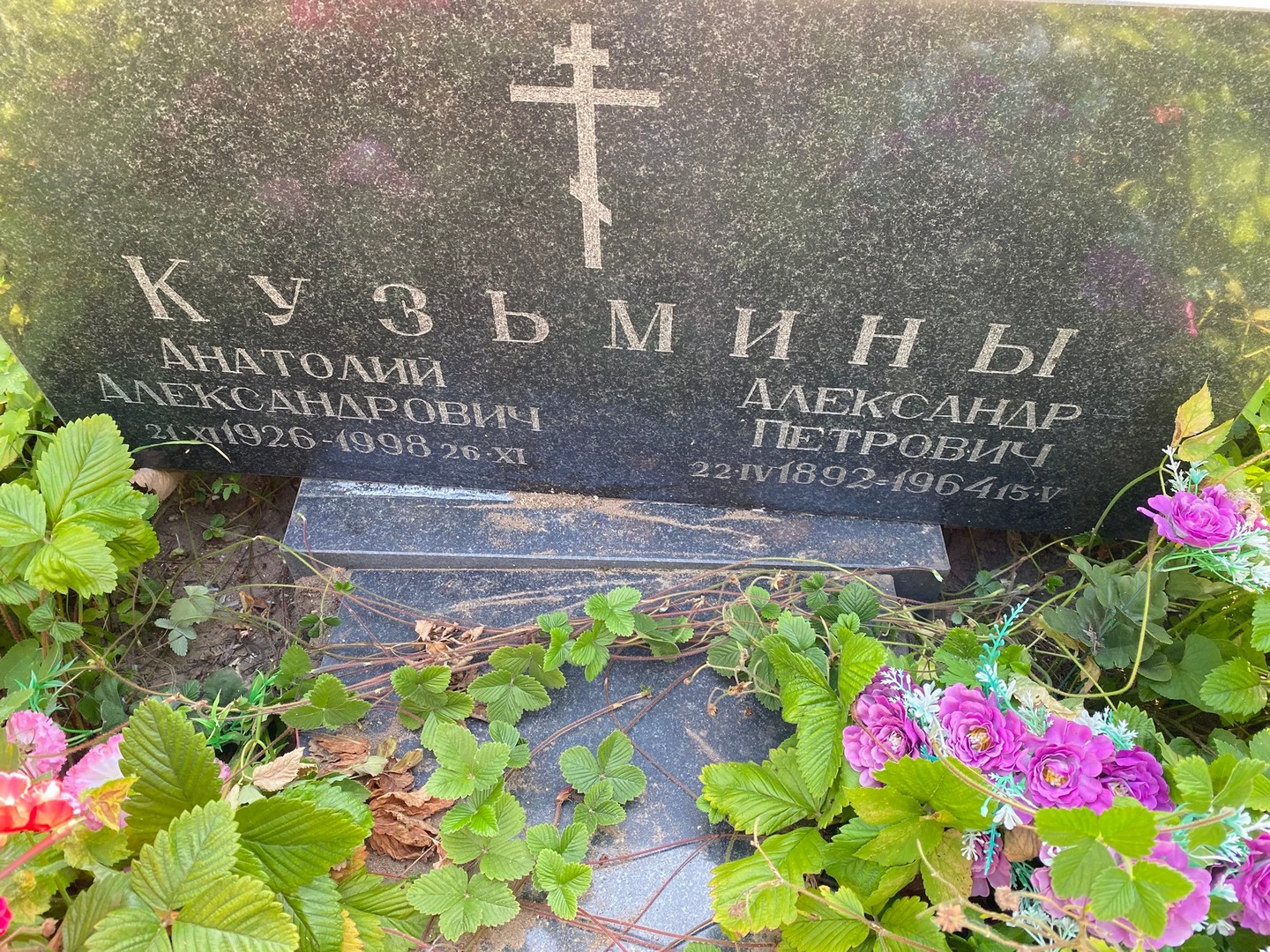 Кузьмин