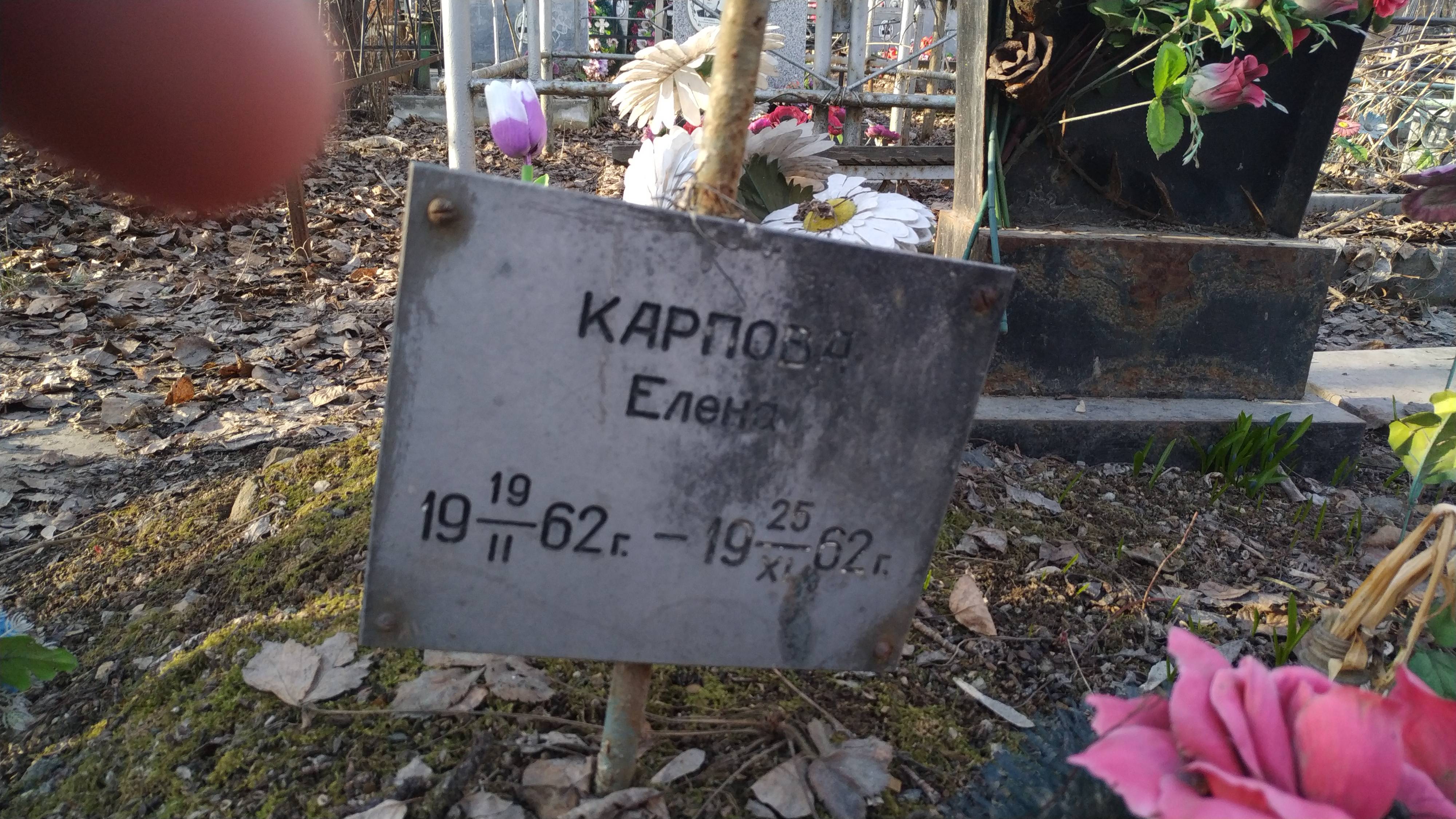 Карпова Елена