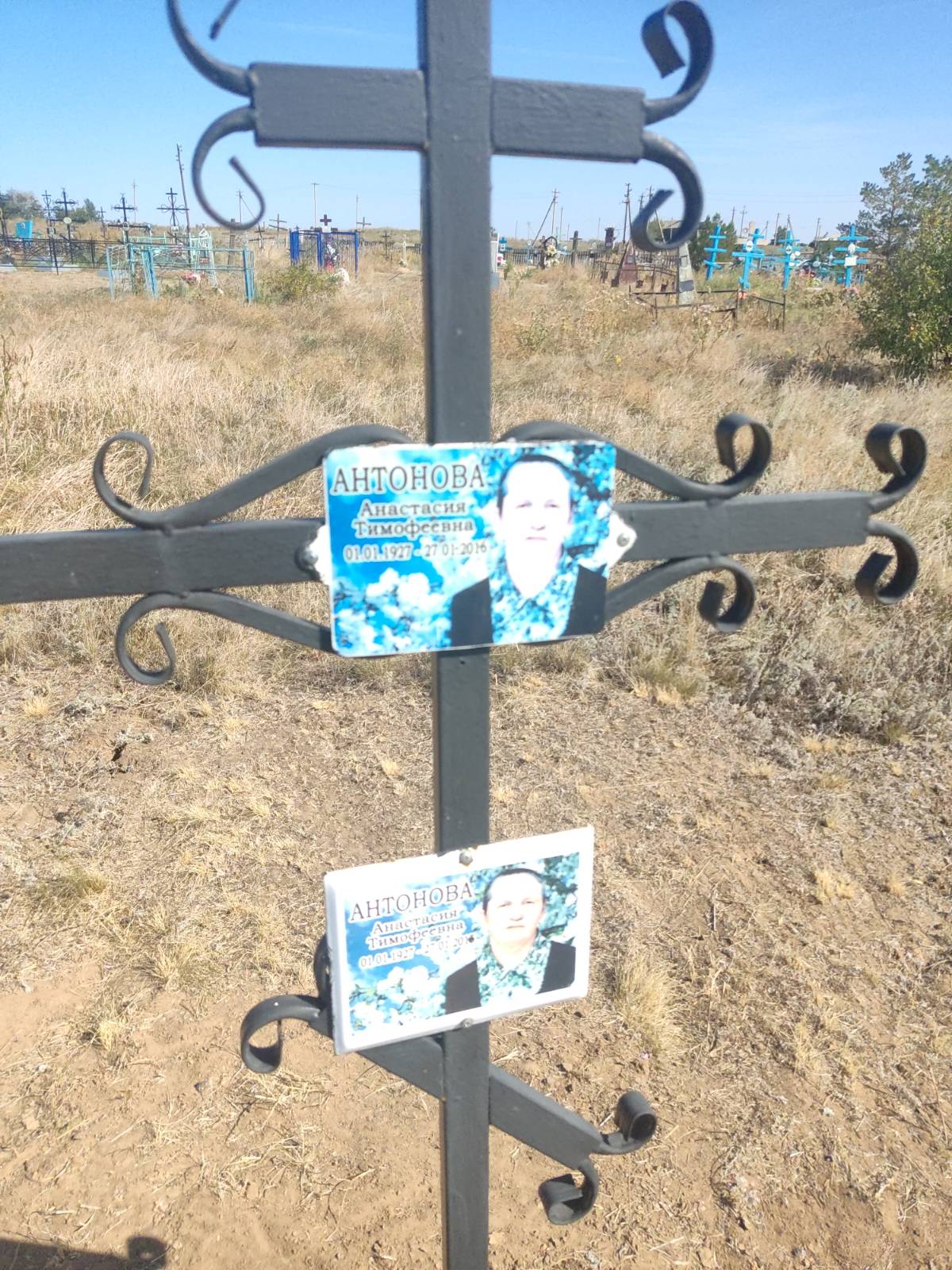 Антонова Анастасия Тимофеевна
