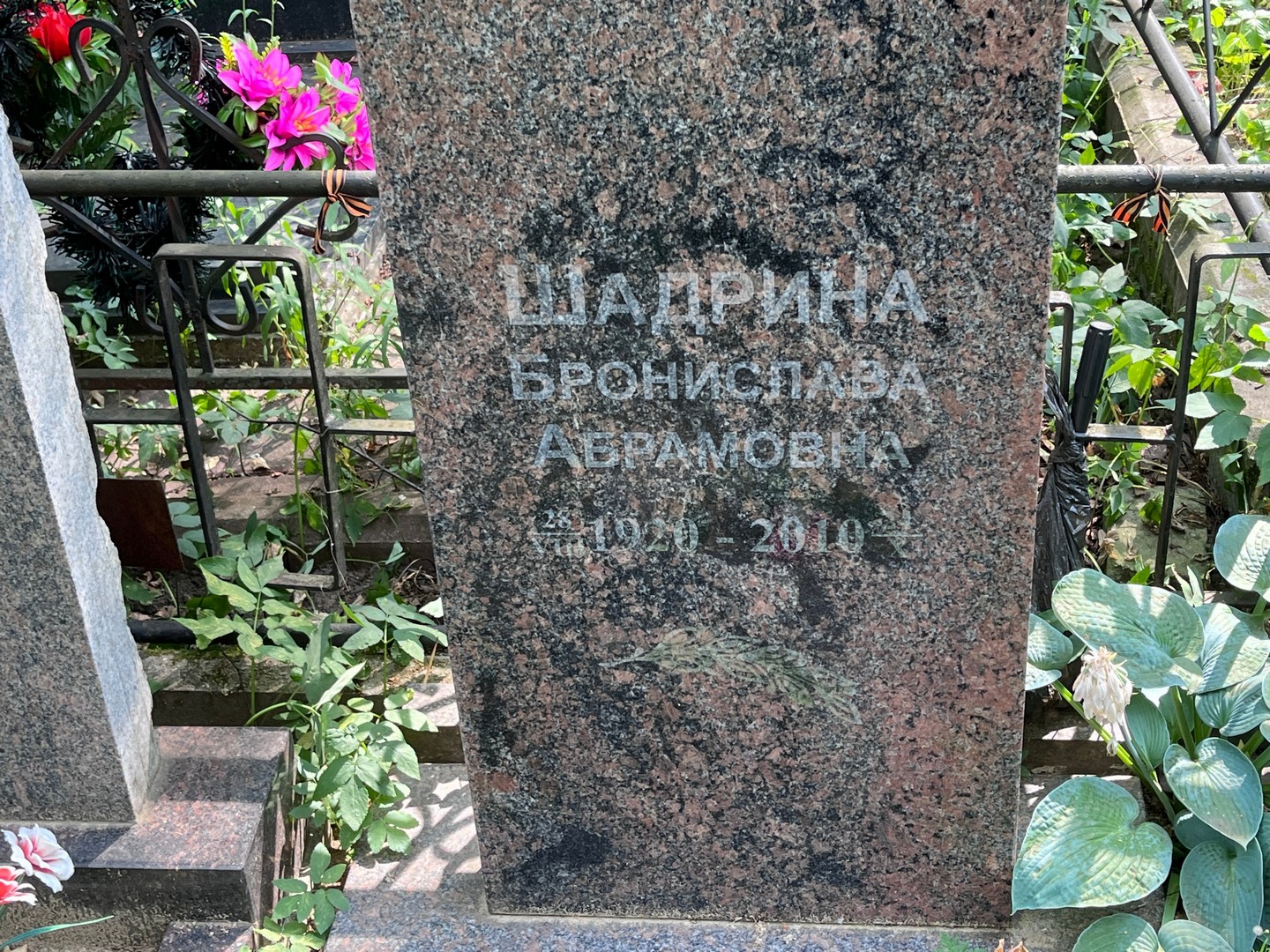Бронислава Шадрина Абрамовна