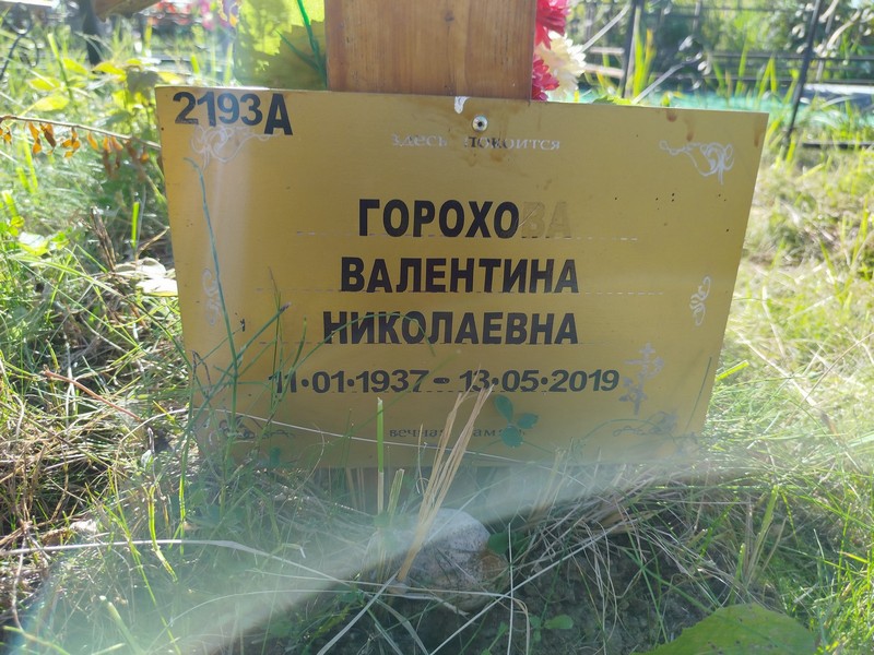 Горохова