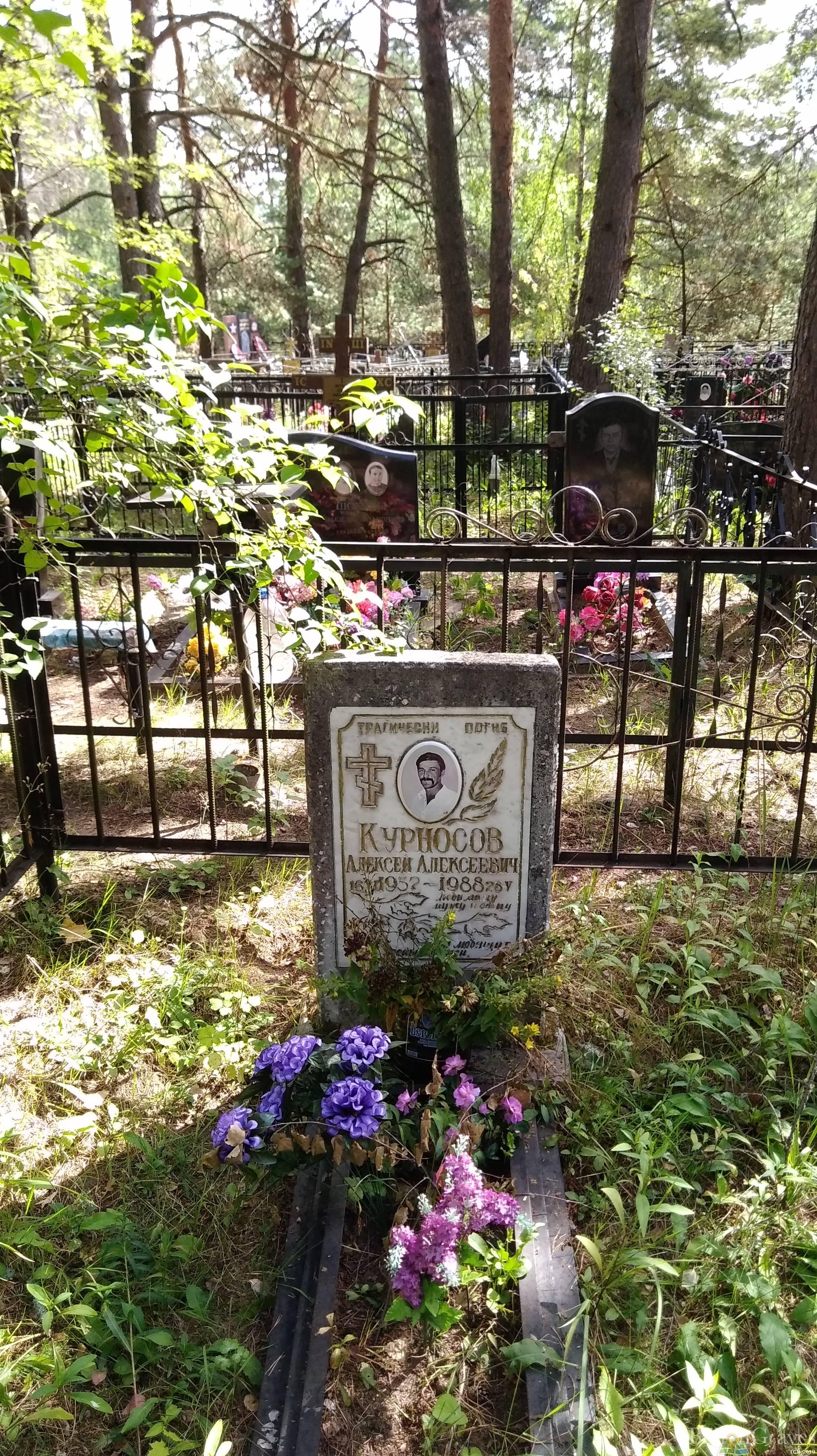 Курносов Алнексей Алексеевич