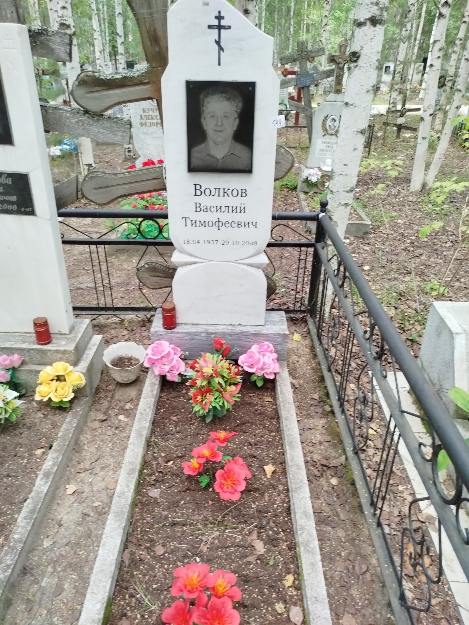 Волков Василий Тимофеевич