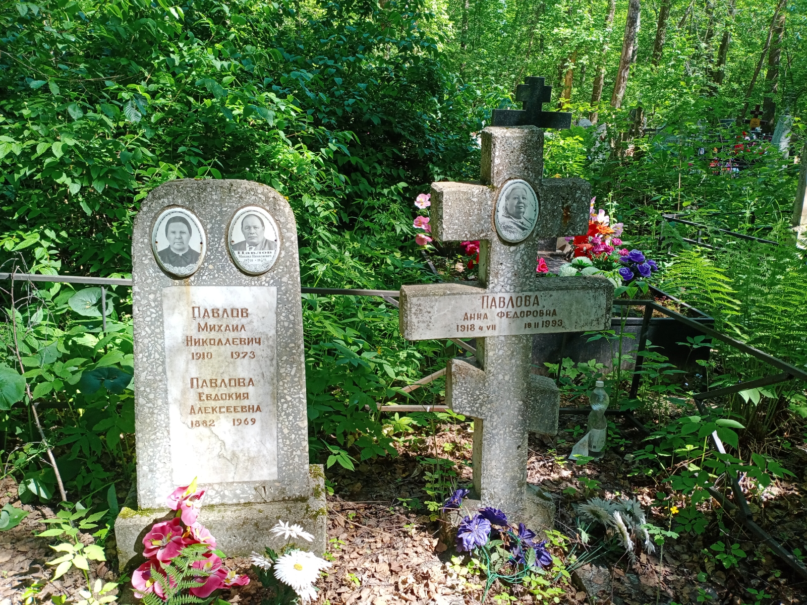 Павлова Анна Федоровна