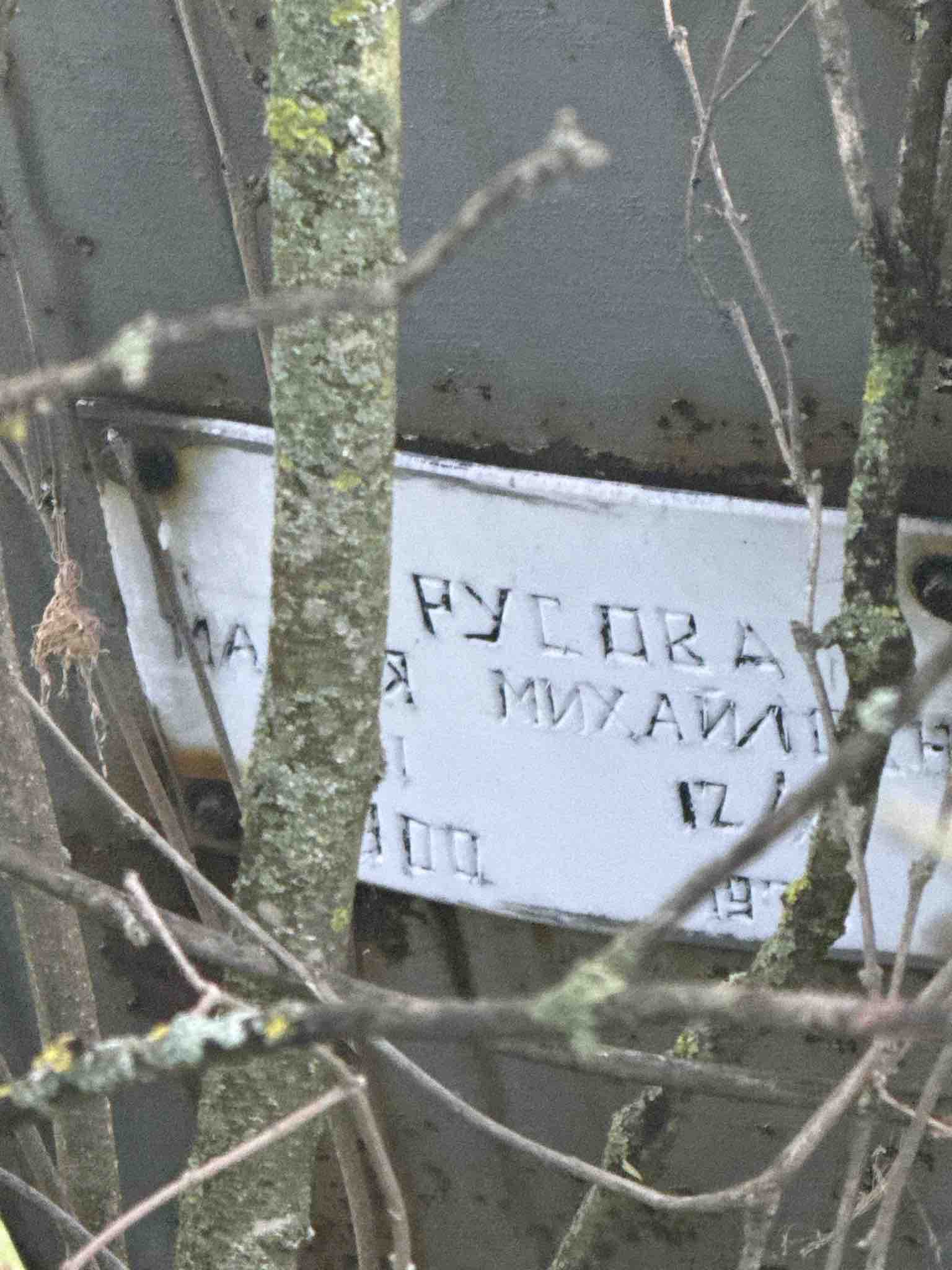 Русова Мария Михайловна