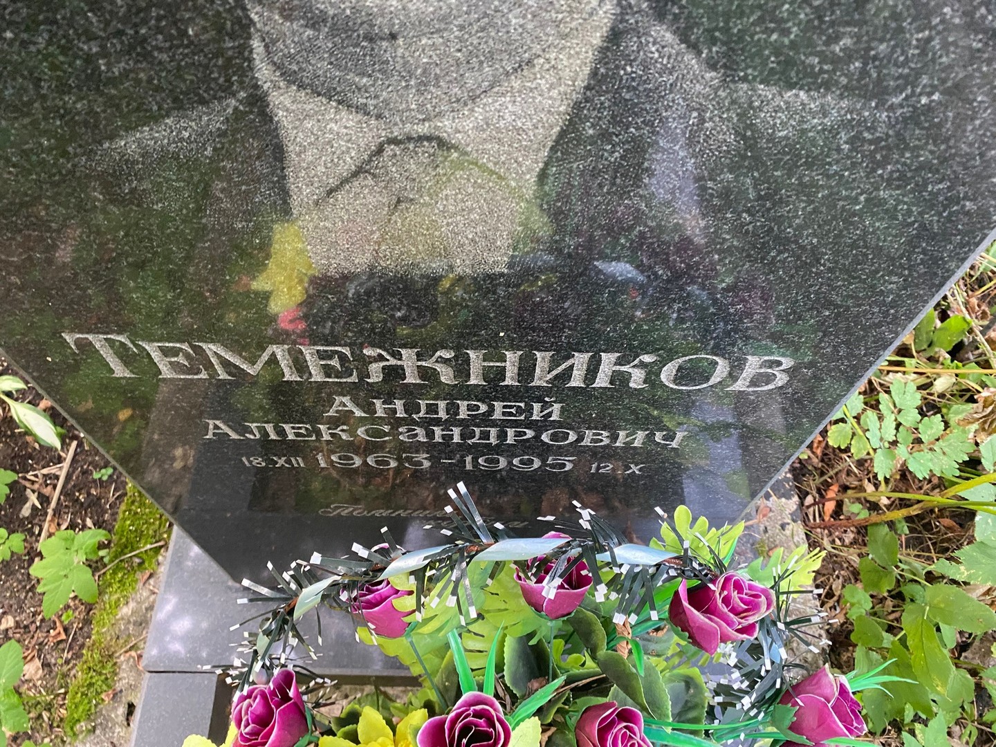 Темежников