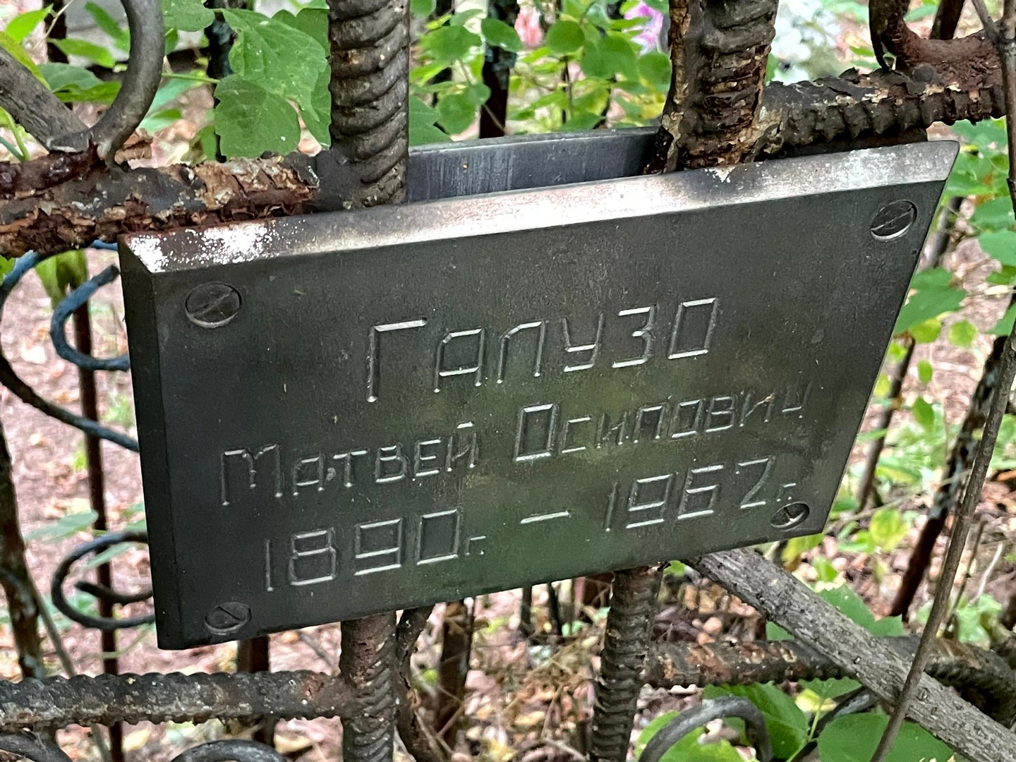 Матвей Галузо Осипович