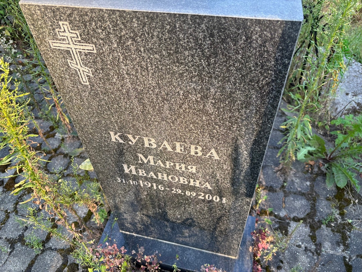 Куваева