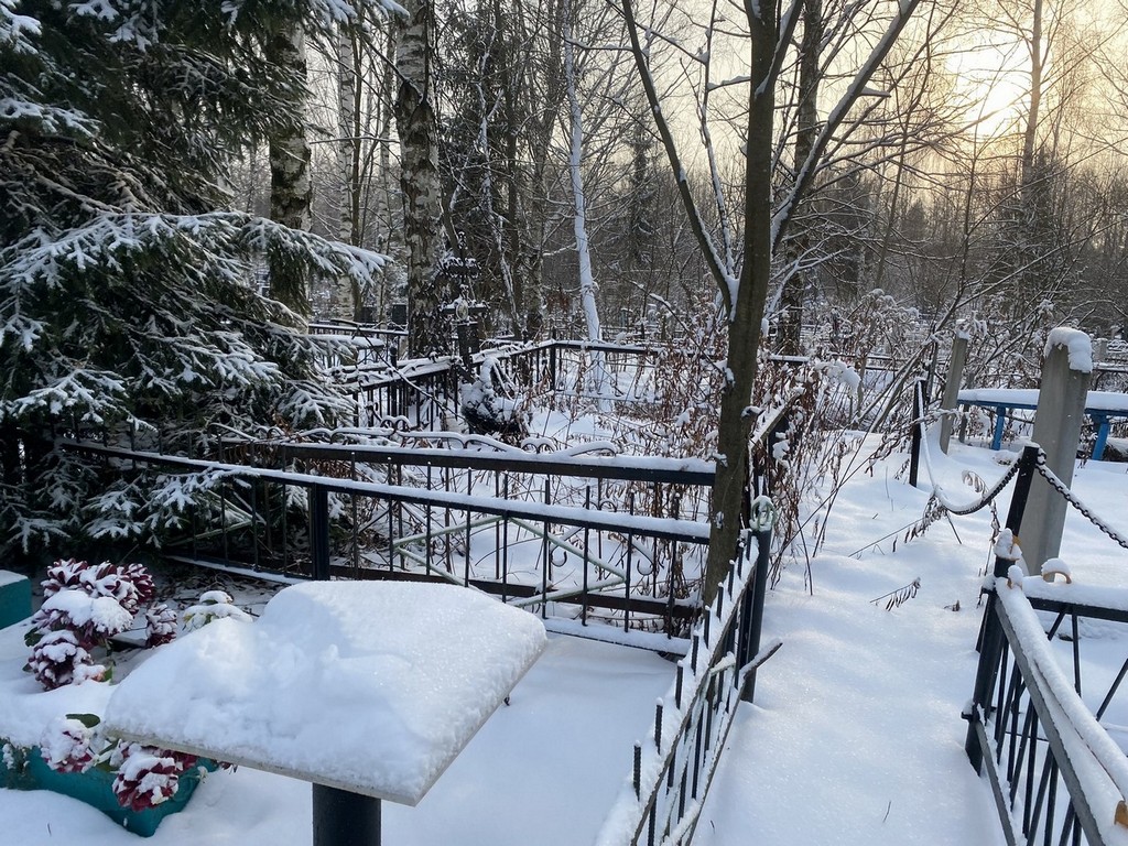 Коннова Светлана Николаевна