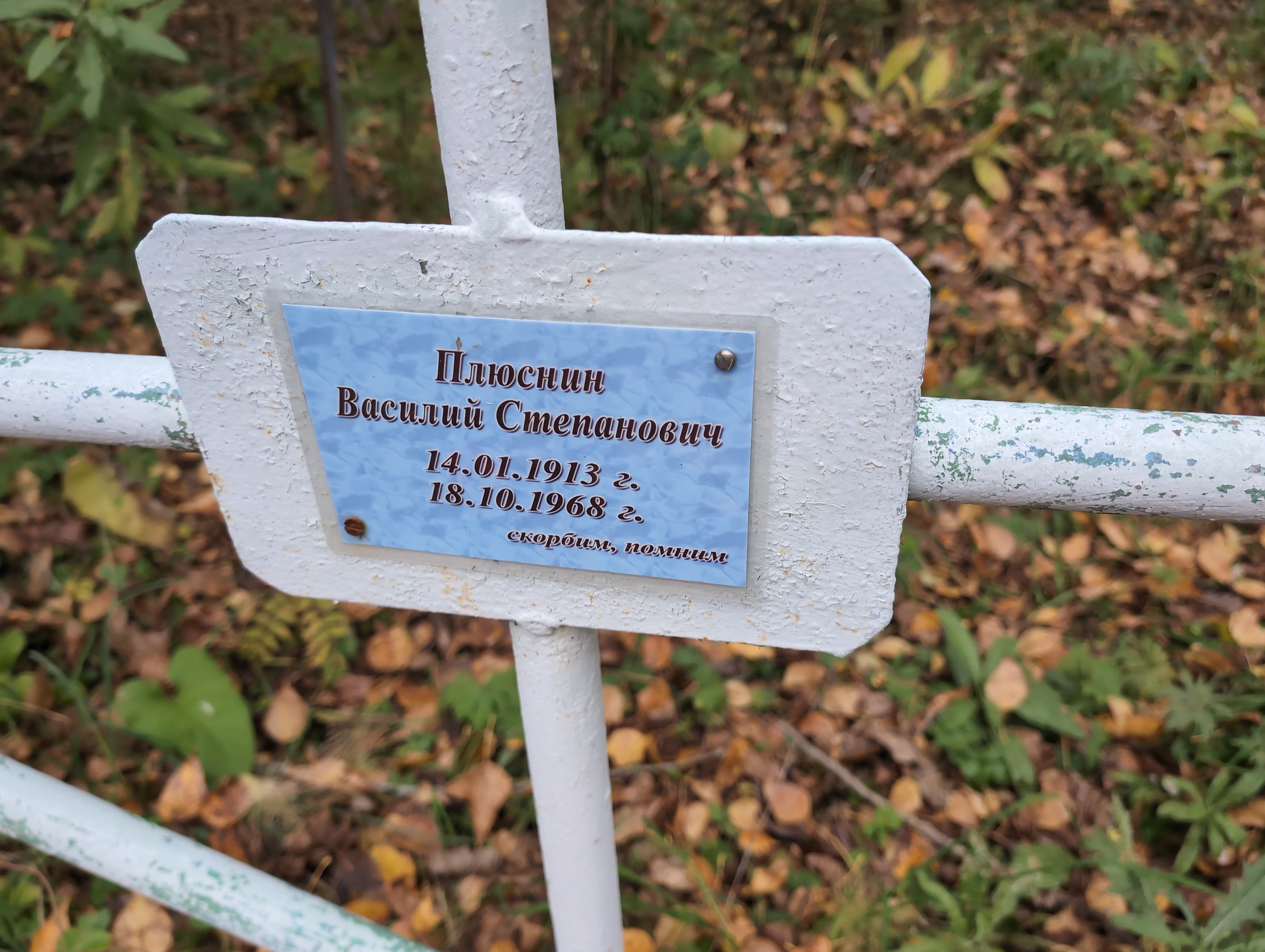 Плюснин Василий Степанович