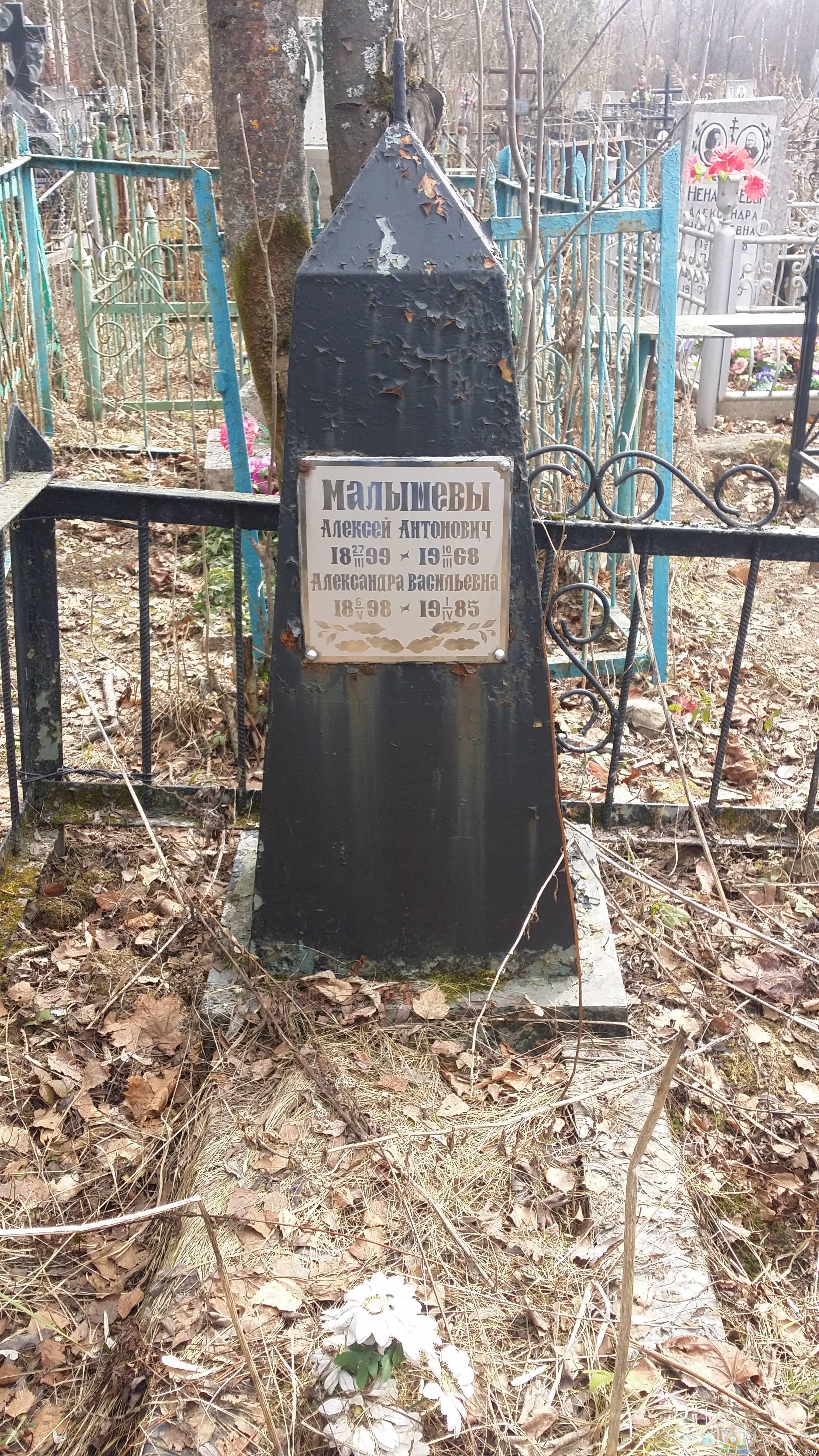 Малышева Александра Васильевна